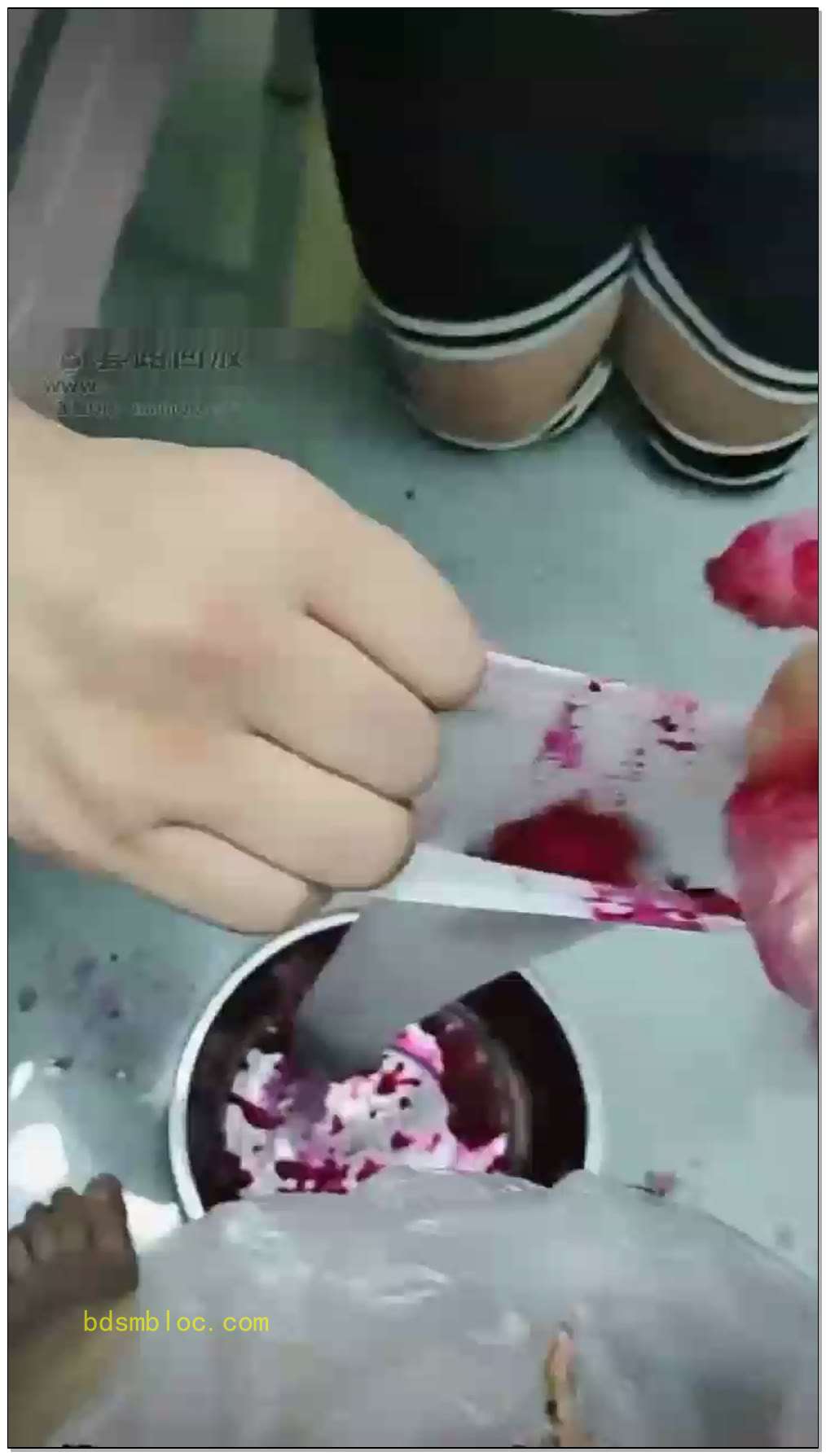 【你的苏可儿S】用小腿袜给火龙果榨汁，跟圣水混合搅拌给狗狗喝