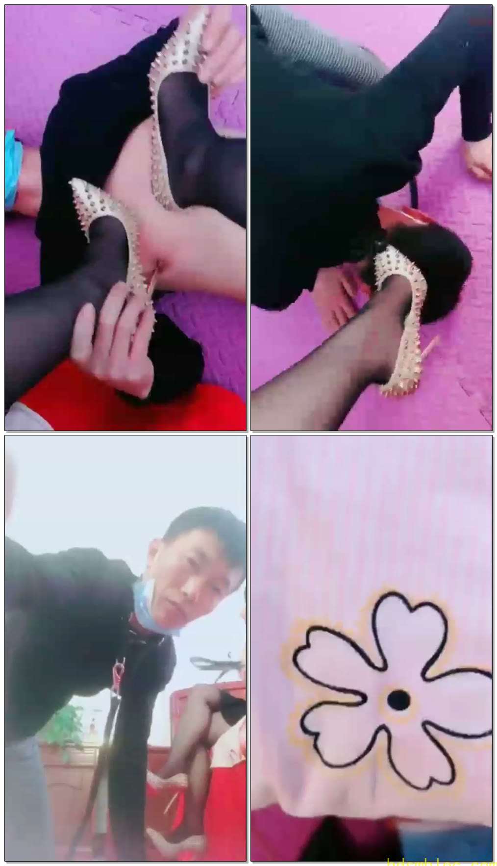 【聊城魅影】悲惨的圈养生活【下】