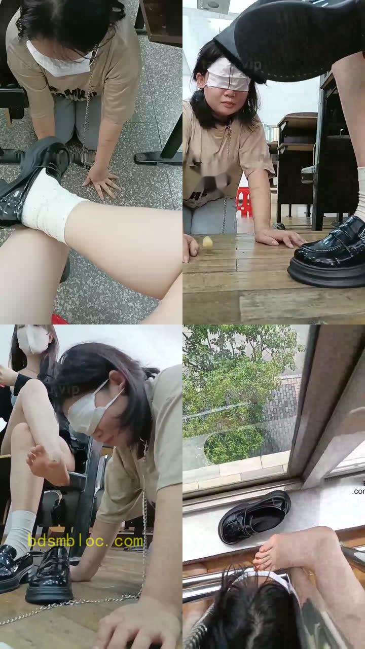 【爱可呀】带母猪来教室玩玩