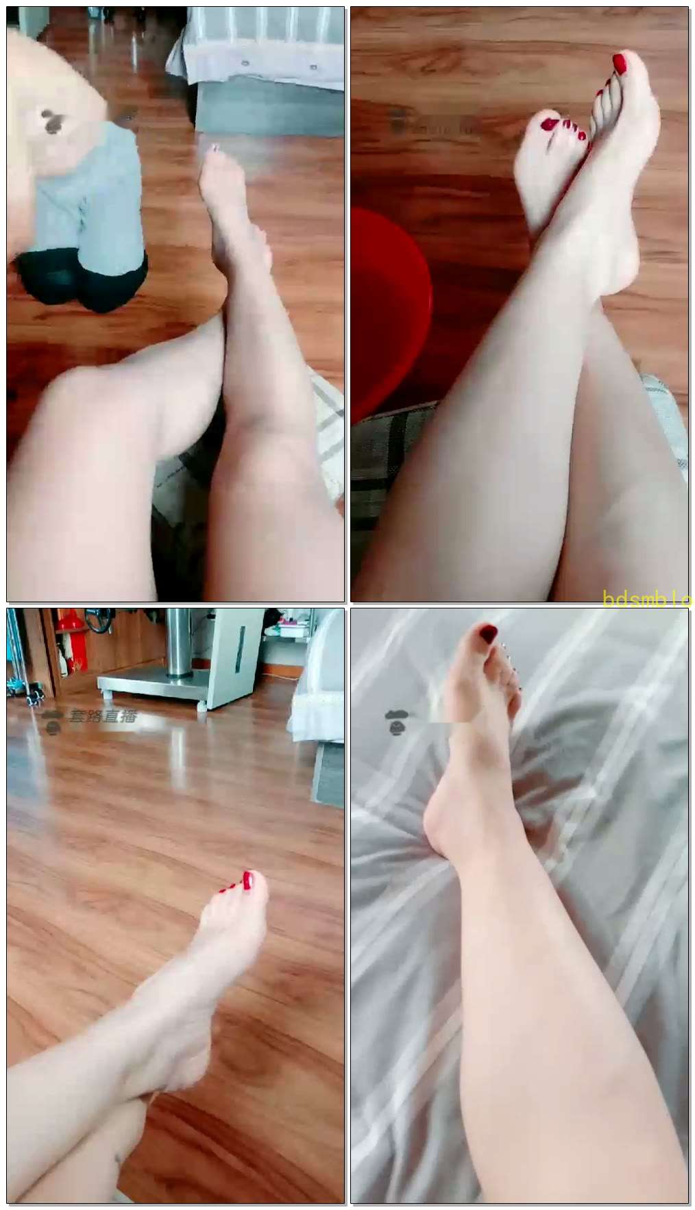 【灵犀女ss】日常赏赐脚奴伺候我的脚，这次是丝袜