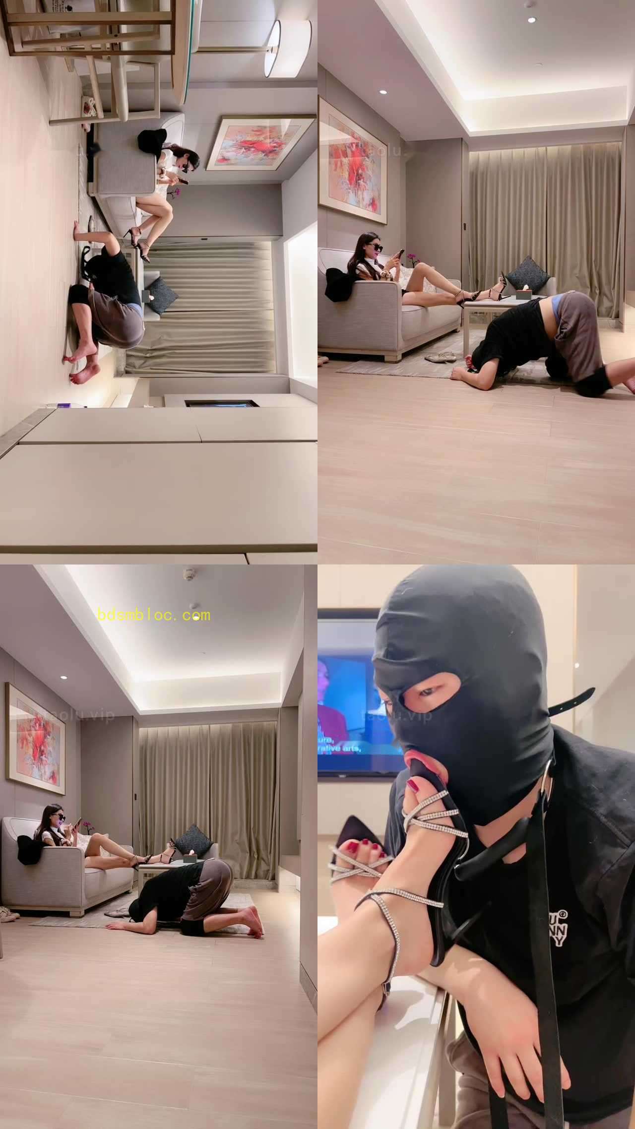 【沅芷】圈养狗日常伺候