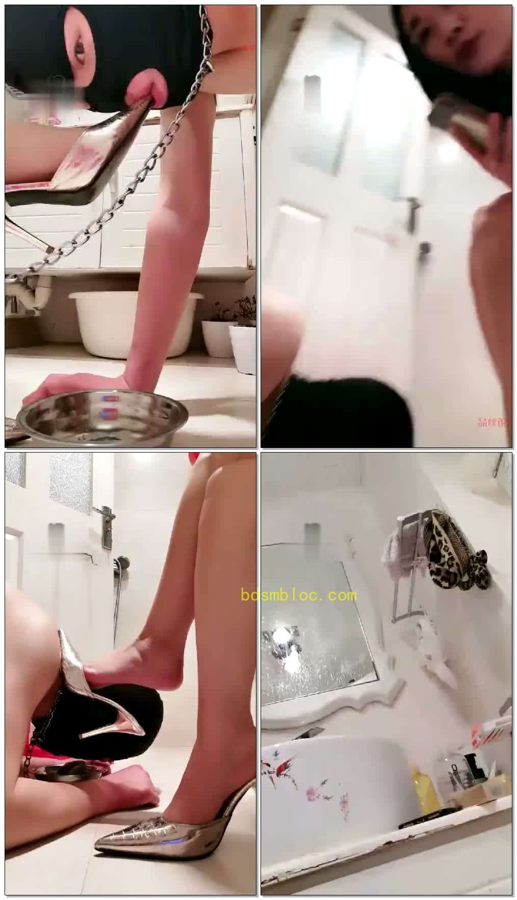 【傲雪儿】强制圣水驮着主人舔马桶
