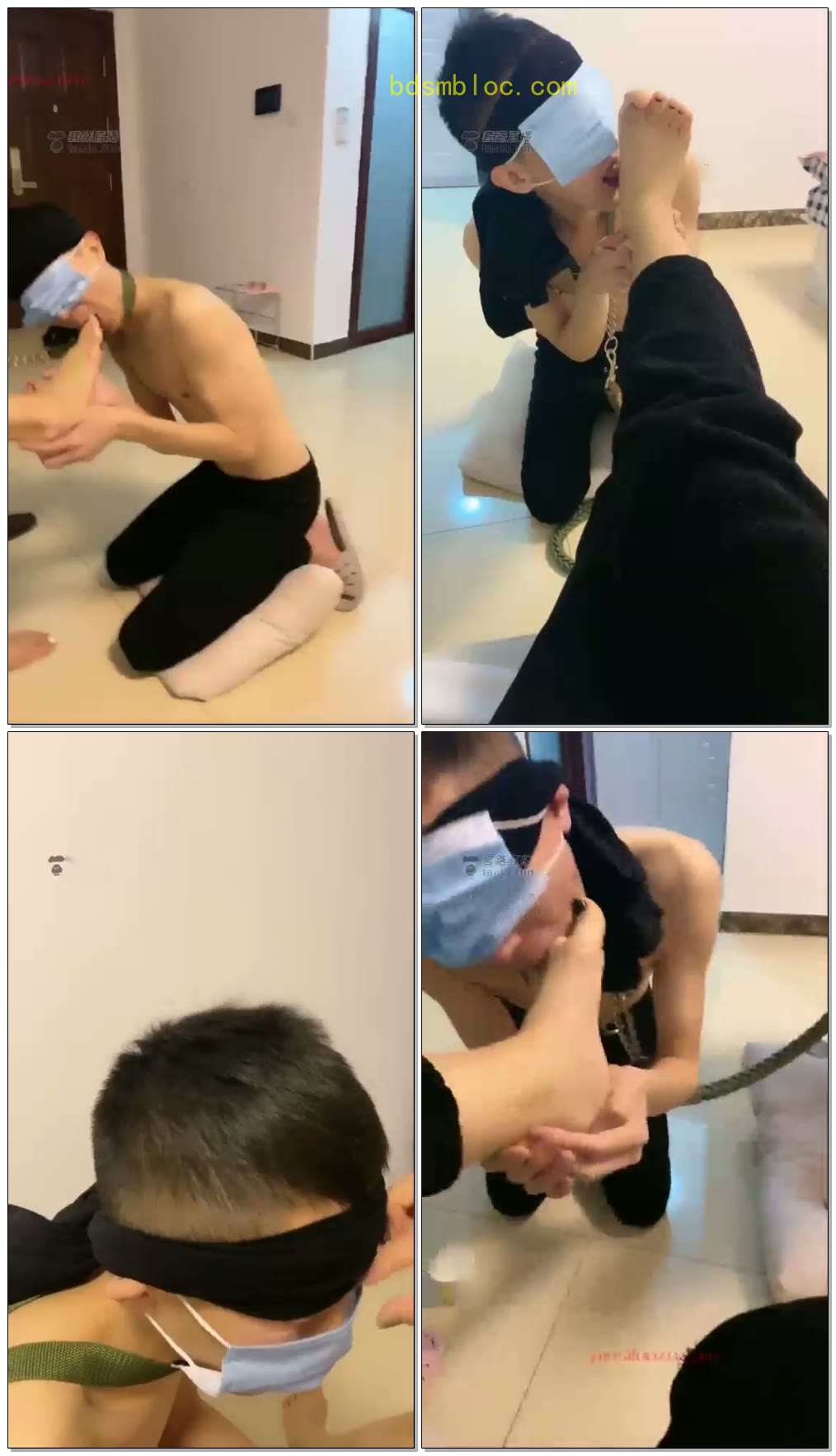 【豆雅双女王】双主调狗清理脚丫