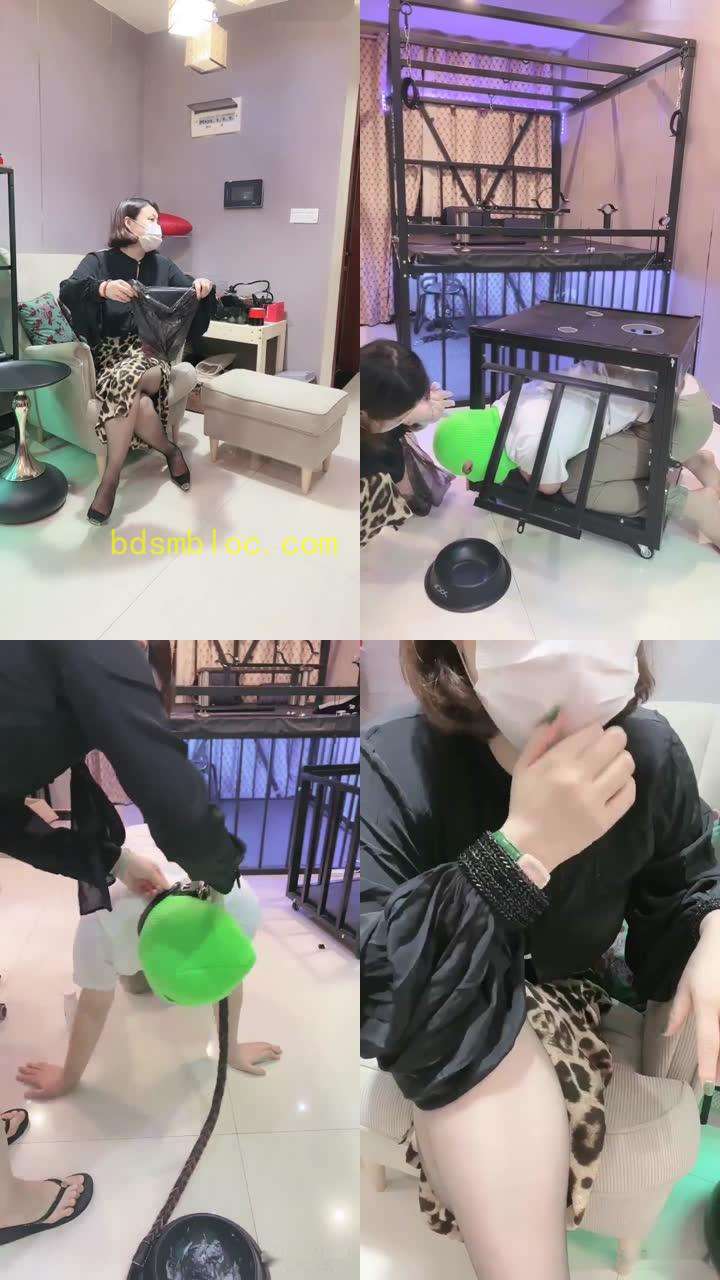 【梓夫人】姐妹调教绿帽奴