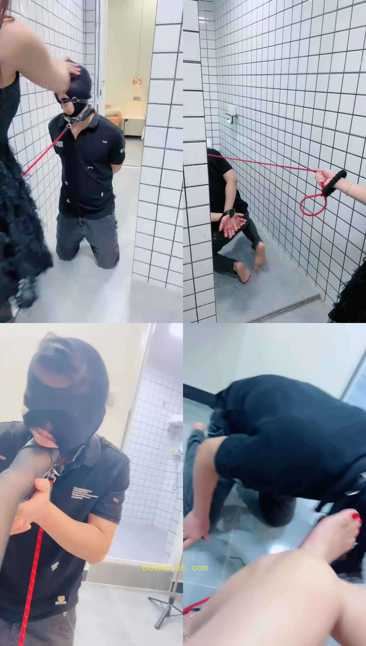 【木子大大】呕吐物圣水喂食专场