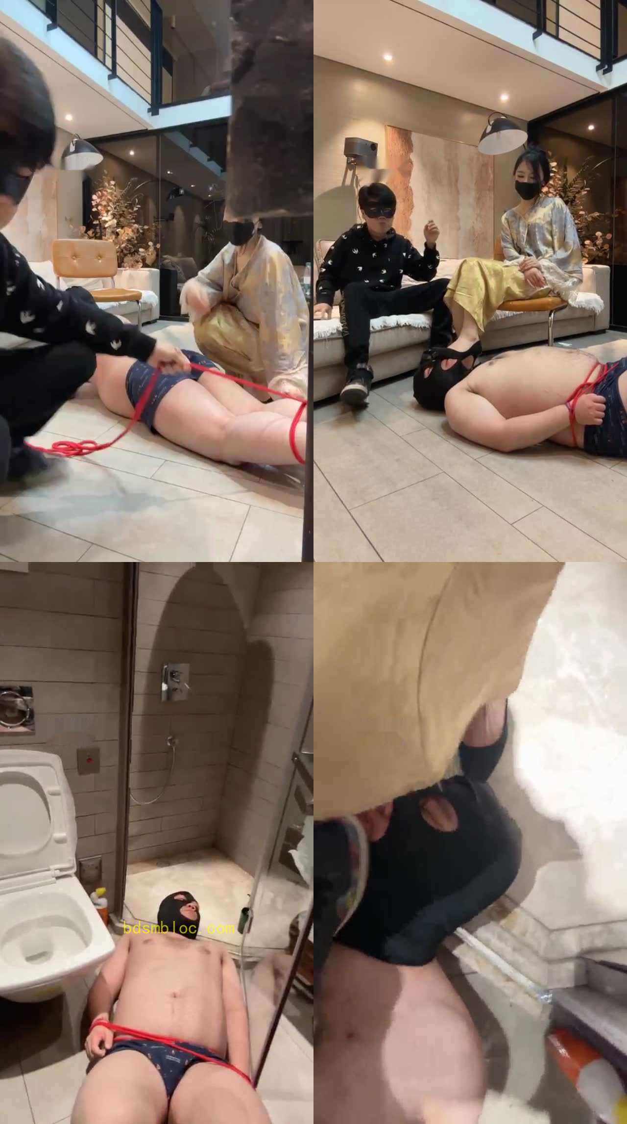 【帝君】完全畜化