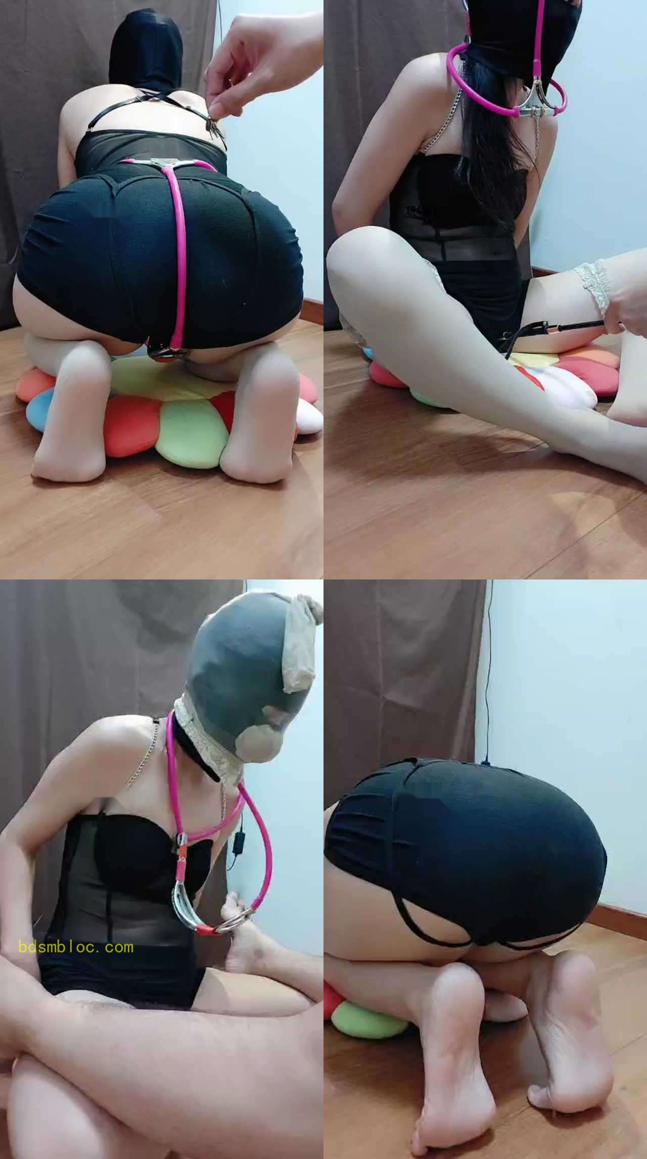【小蜜蜂】男S-把自己老婆当狗虐