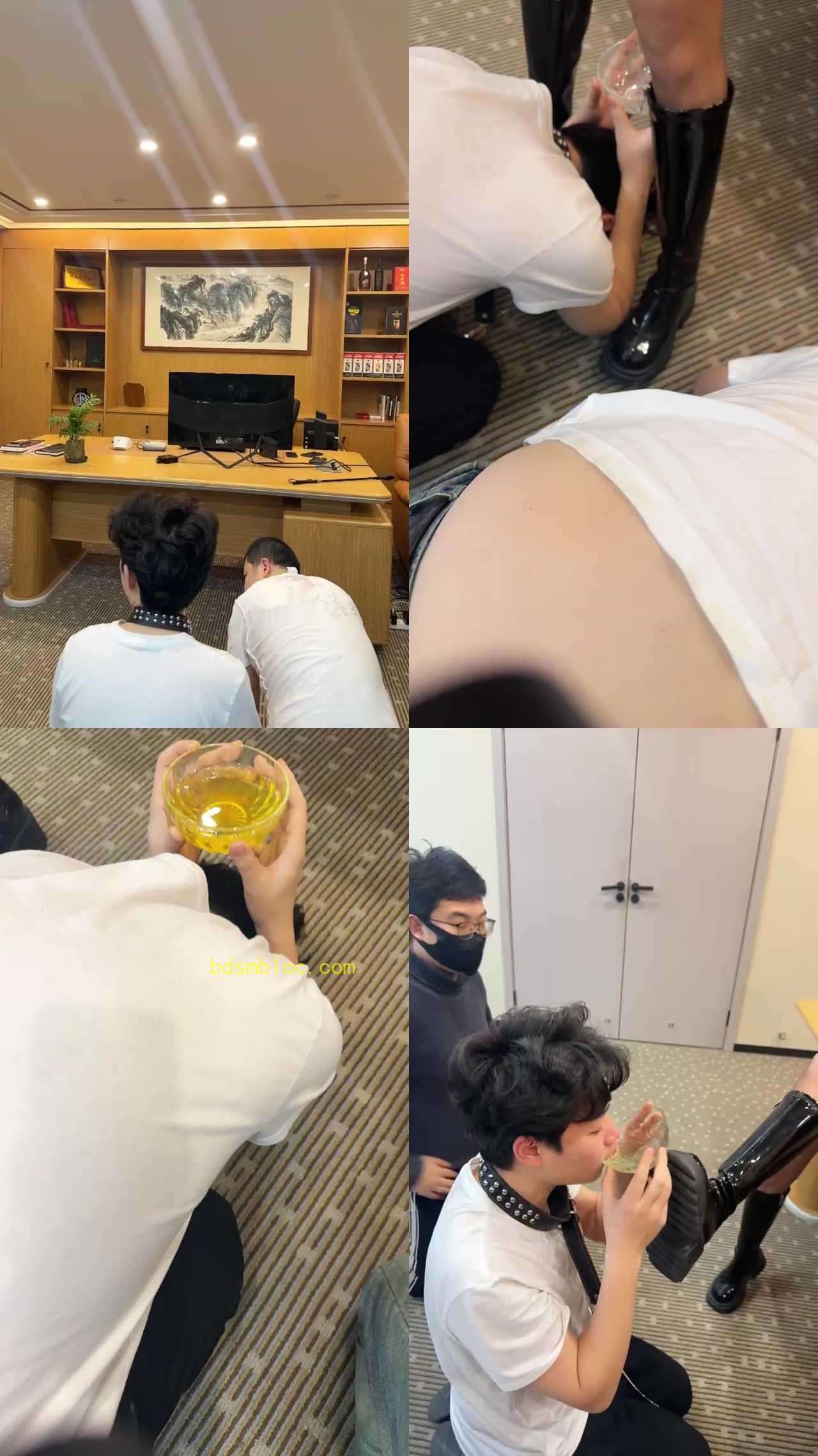 【伊晨s】公司招聘宠物（下集）