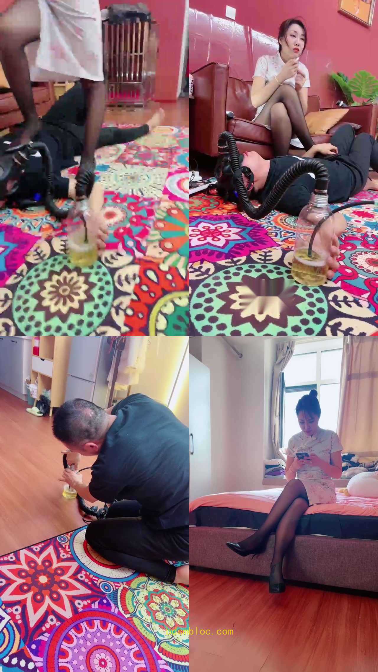 【承诺】惩罚不听话的狗