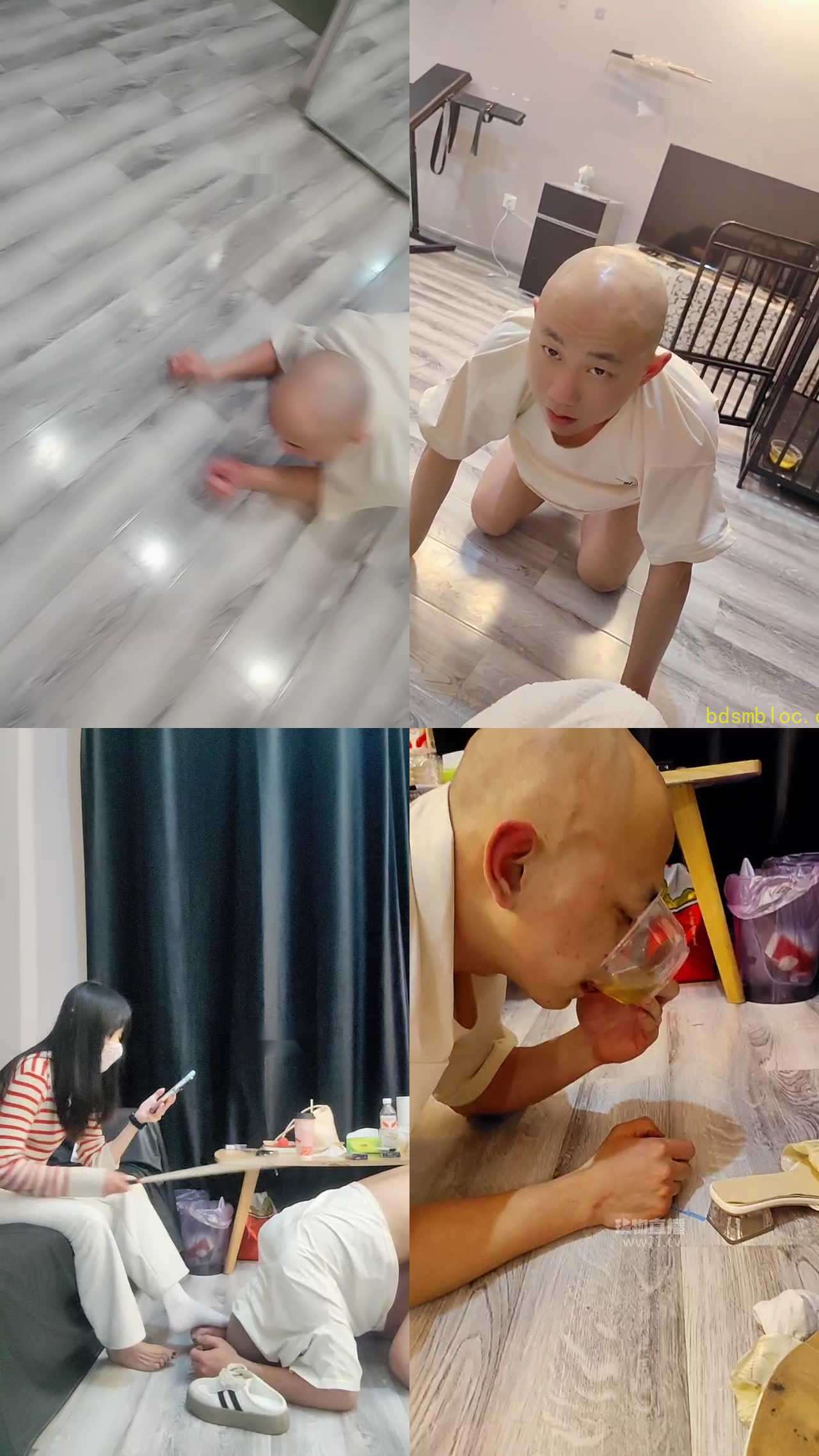 【暴力柚子】圈养光头强小狗