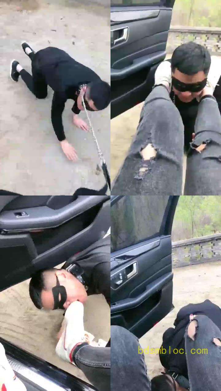 【亿梦】TJ：户外带狗春游调教