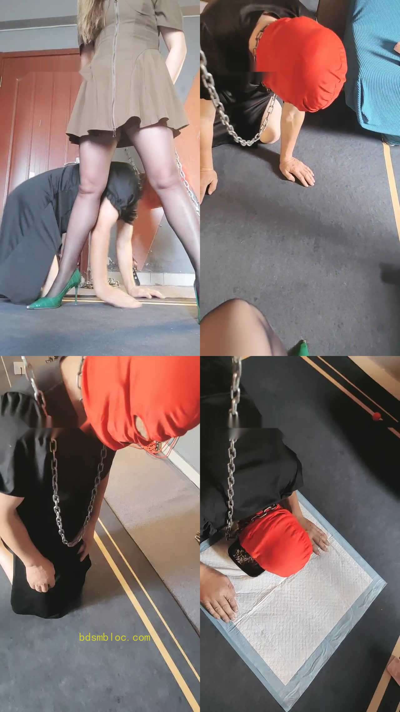 【东营天香百合】狗链拴狗/嘴叼高跟/犬化喂食