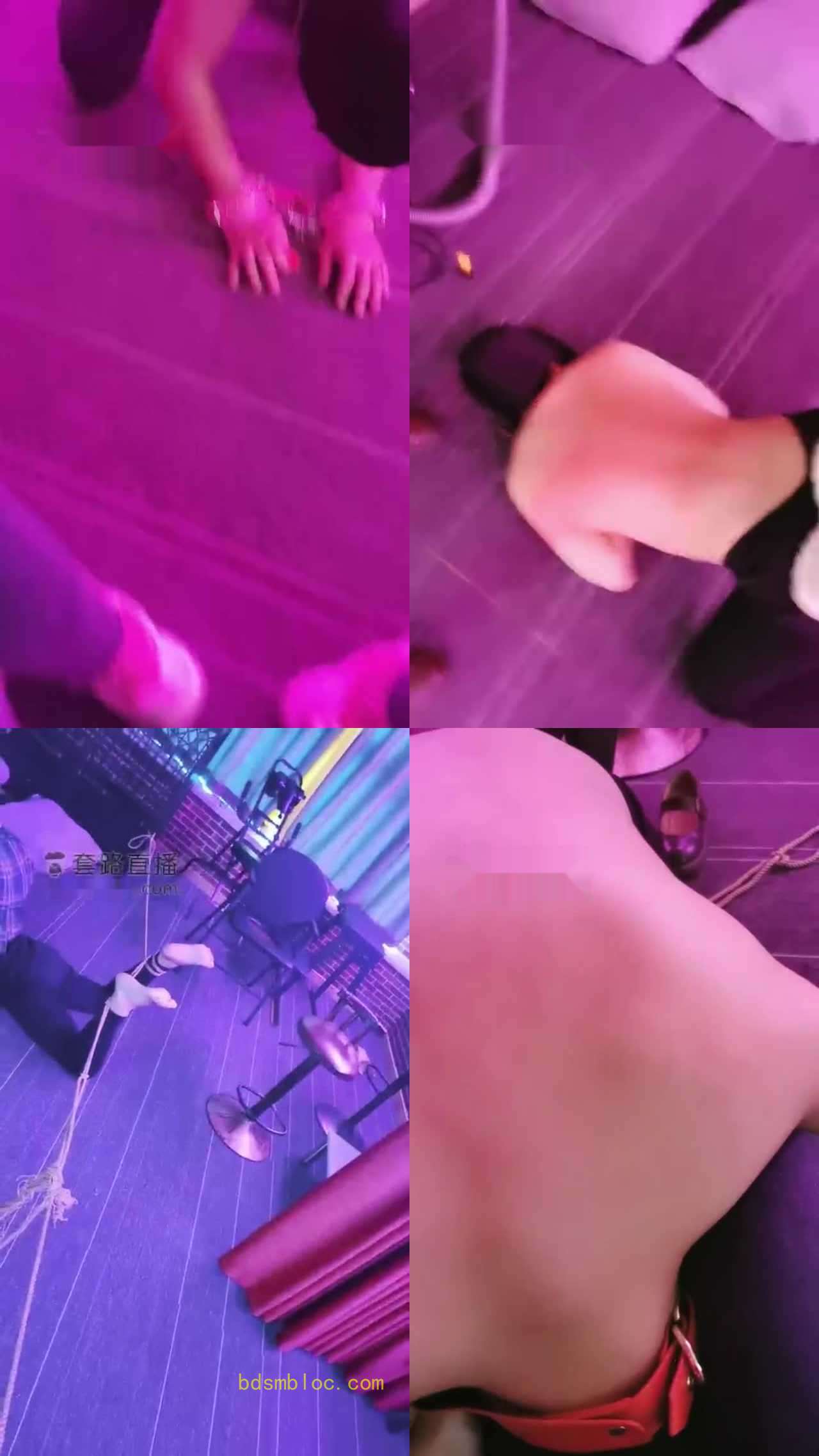 【一只大喵S】不听话打就对