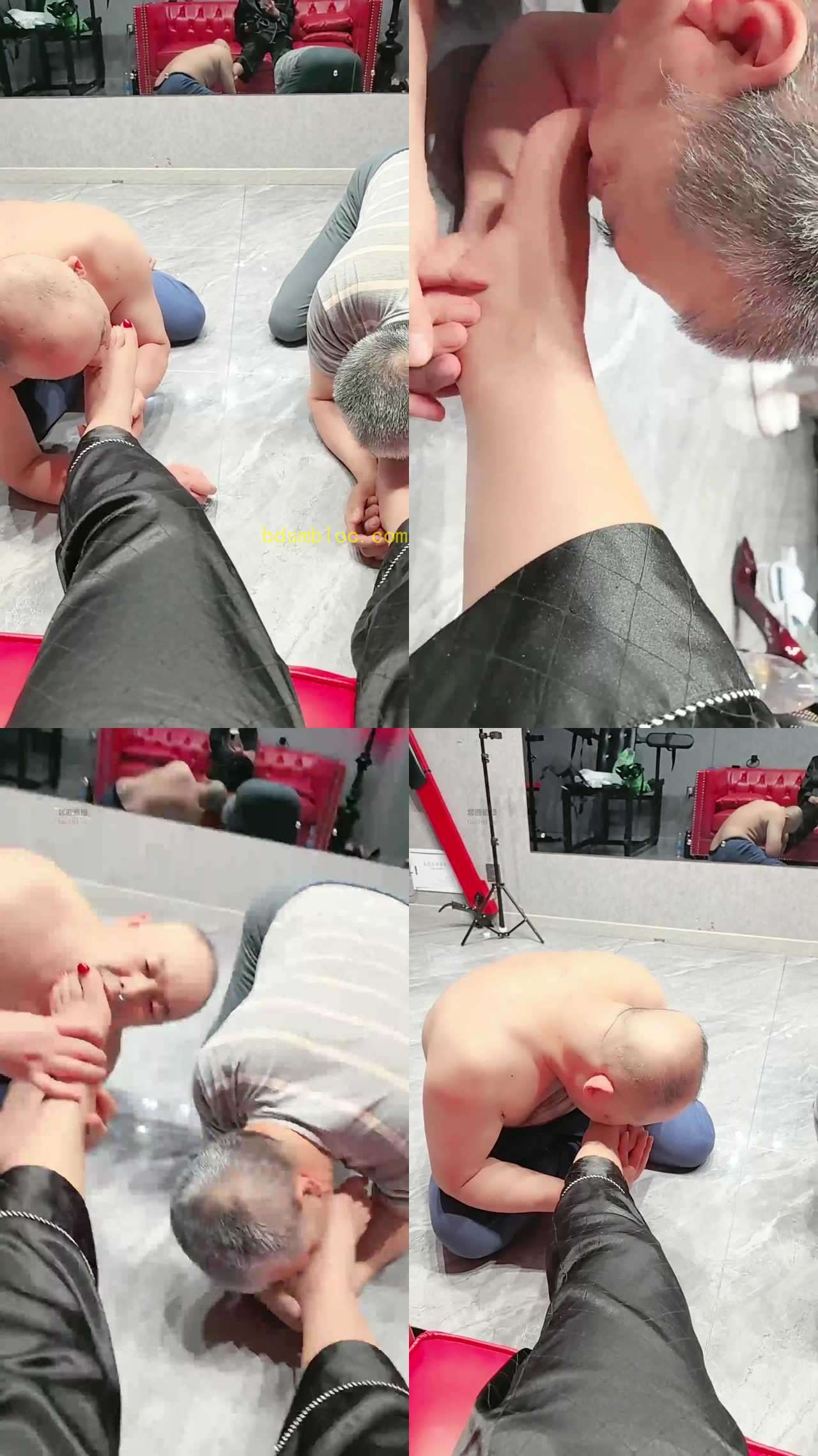 【冷御的冷s】双狗舔脚赏赐场