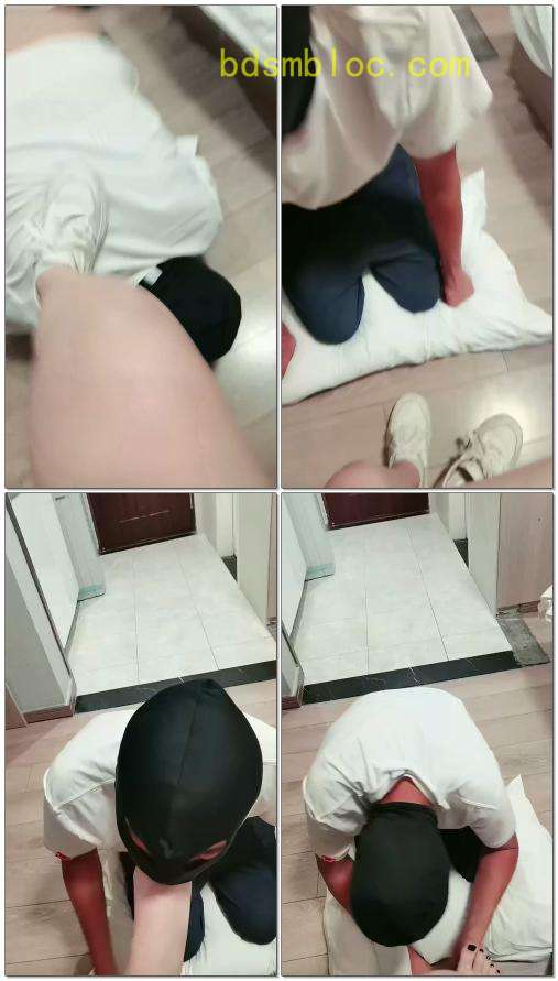 【优优S】板鞋玩狗