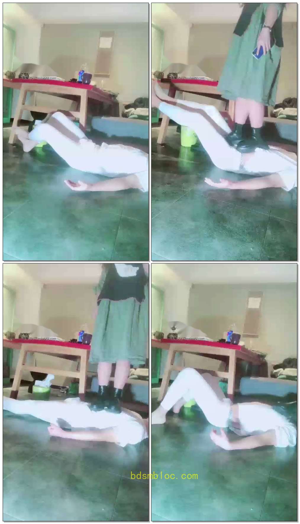 【蔷薇S】全体重踩踏白衣狗