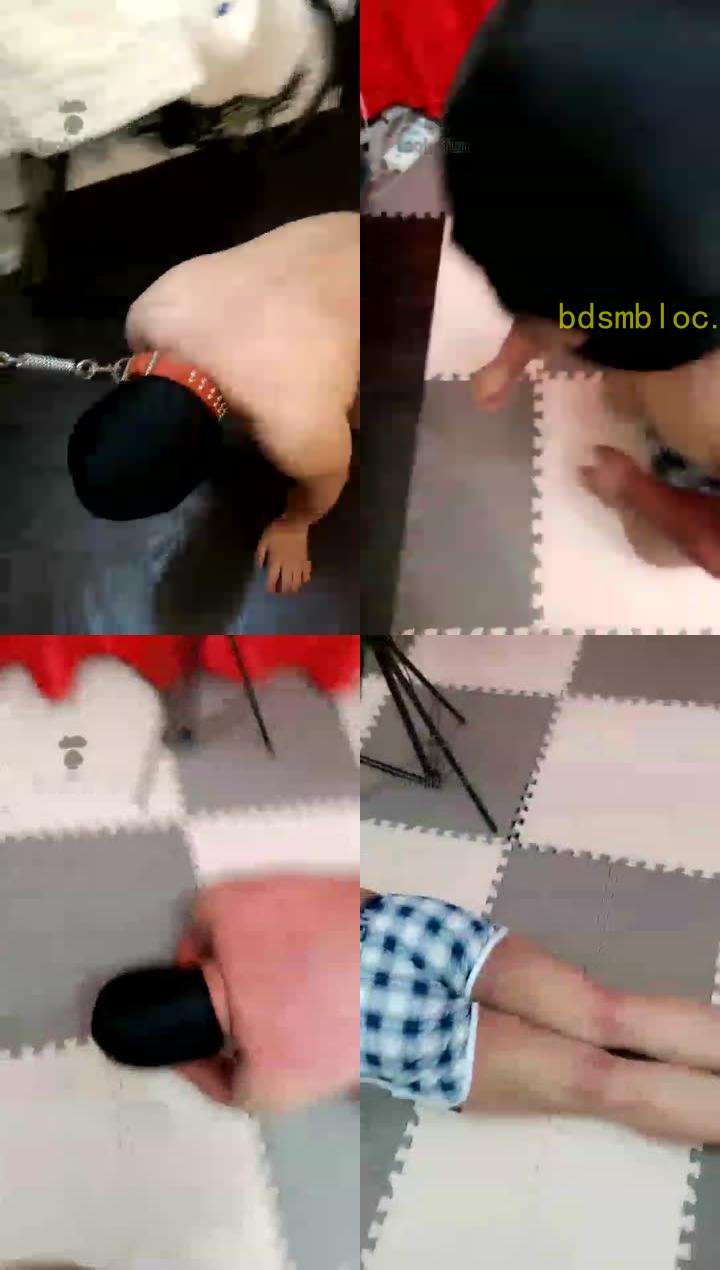 【竺南宫】 治疗圈养狗子各种不舒服