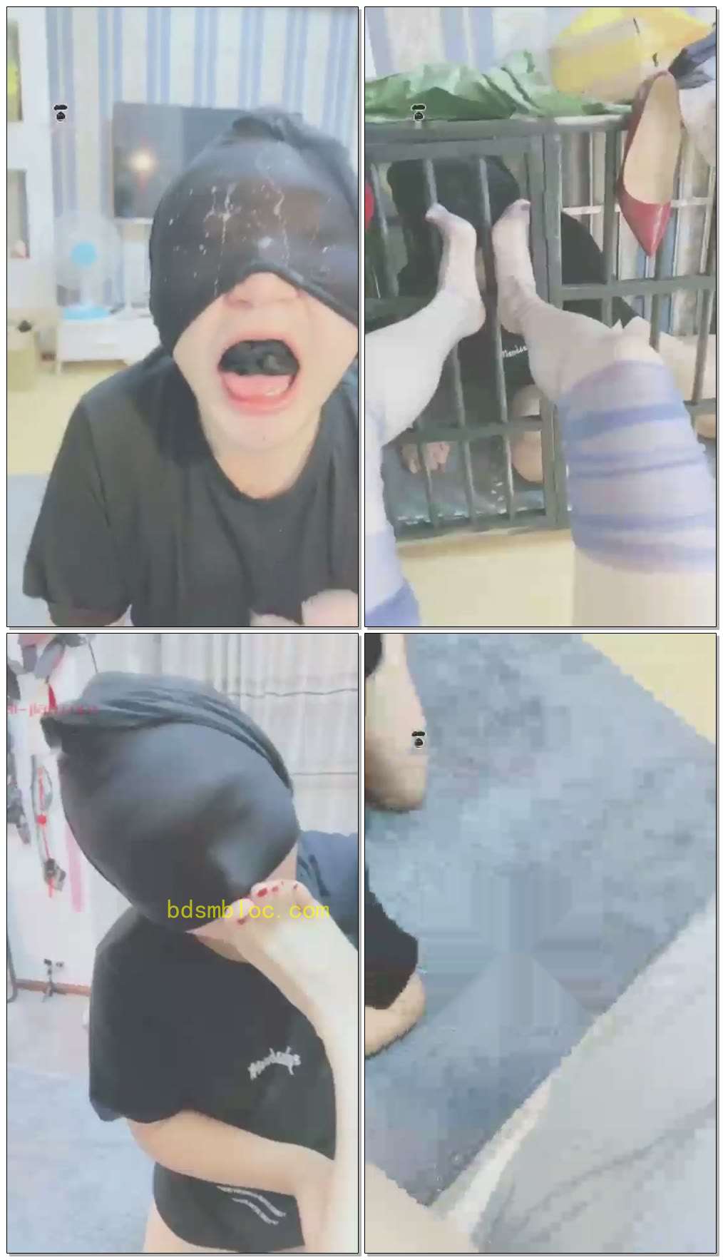 【妖妖学姐】用最简单的方式就可以征服狗狗