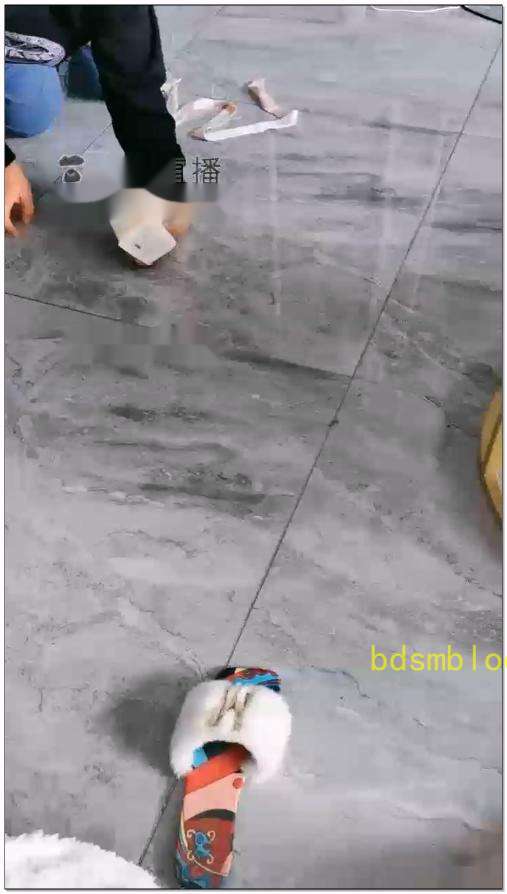 【语晴s】贱狗试用期