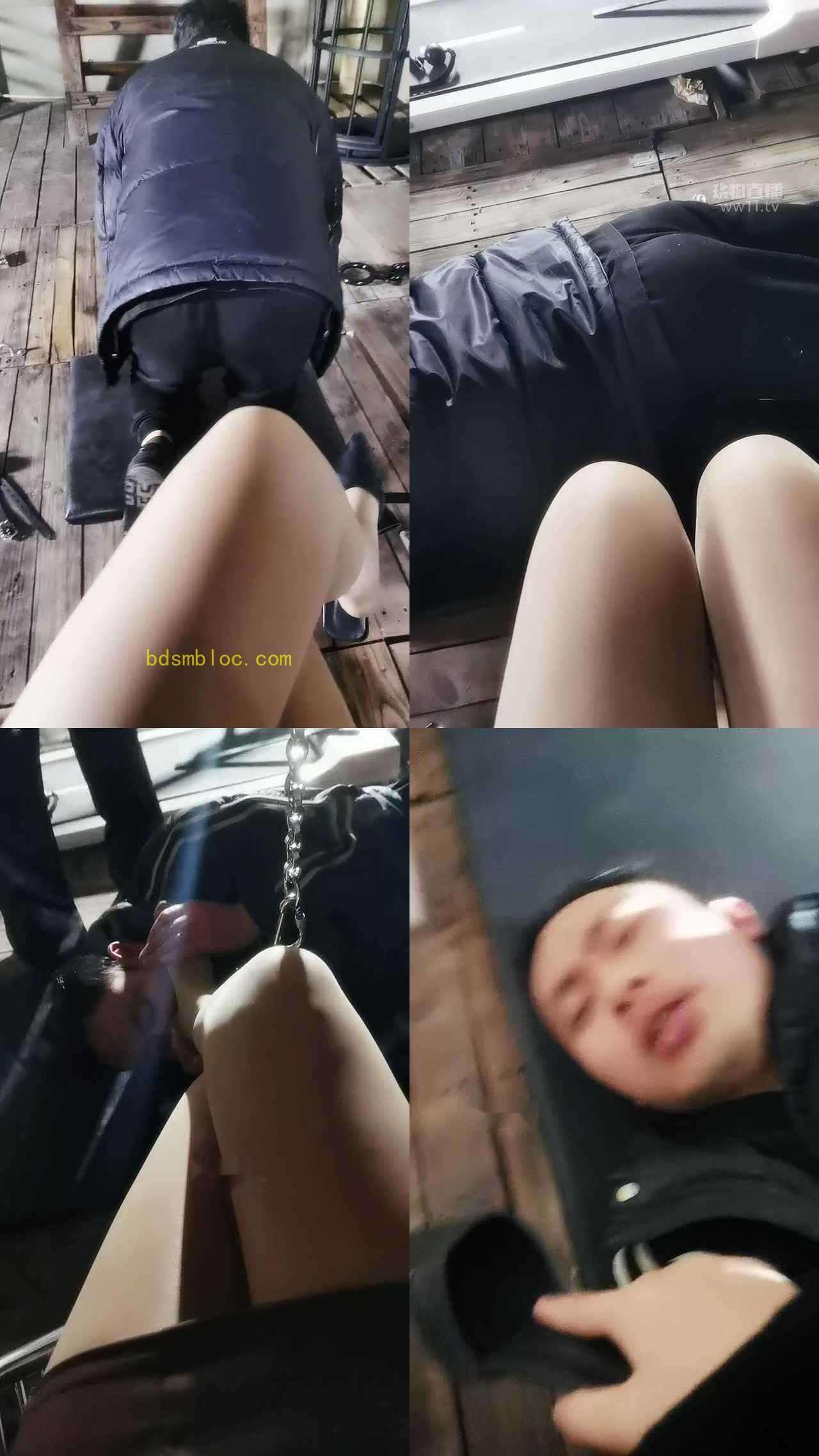 【波波s】专业教室调狗速来