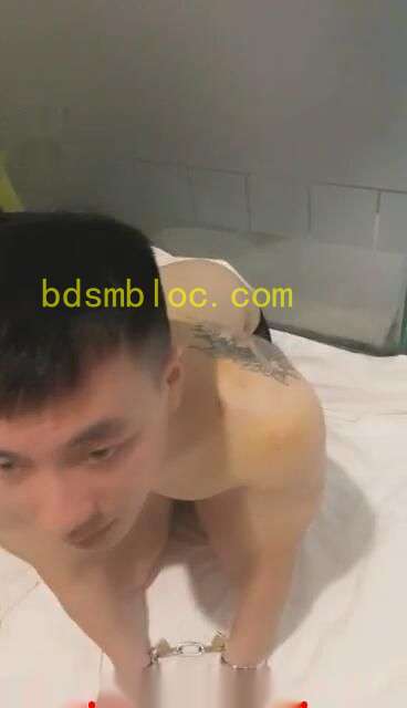 【鸳迟】贱狗烙印吃男主人的JZ嘻嘻