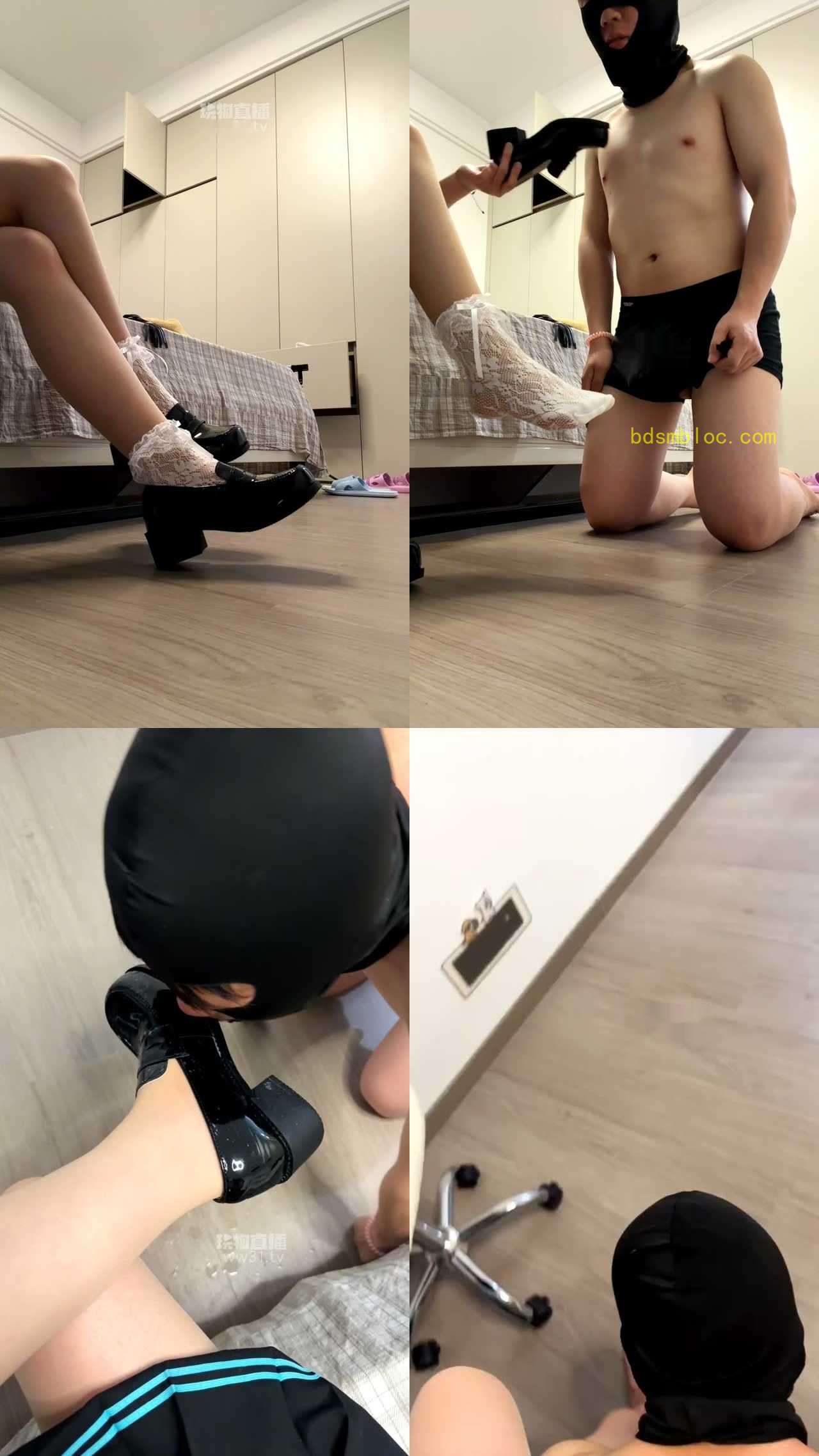 【小歆sama】又是调狗的一天