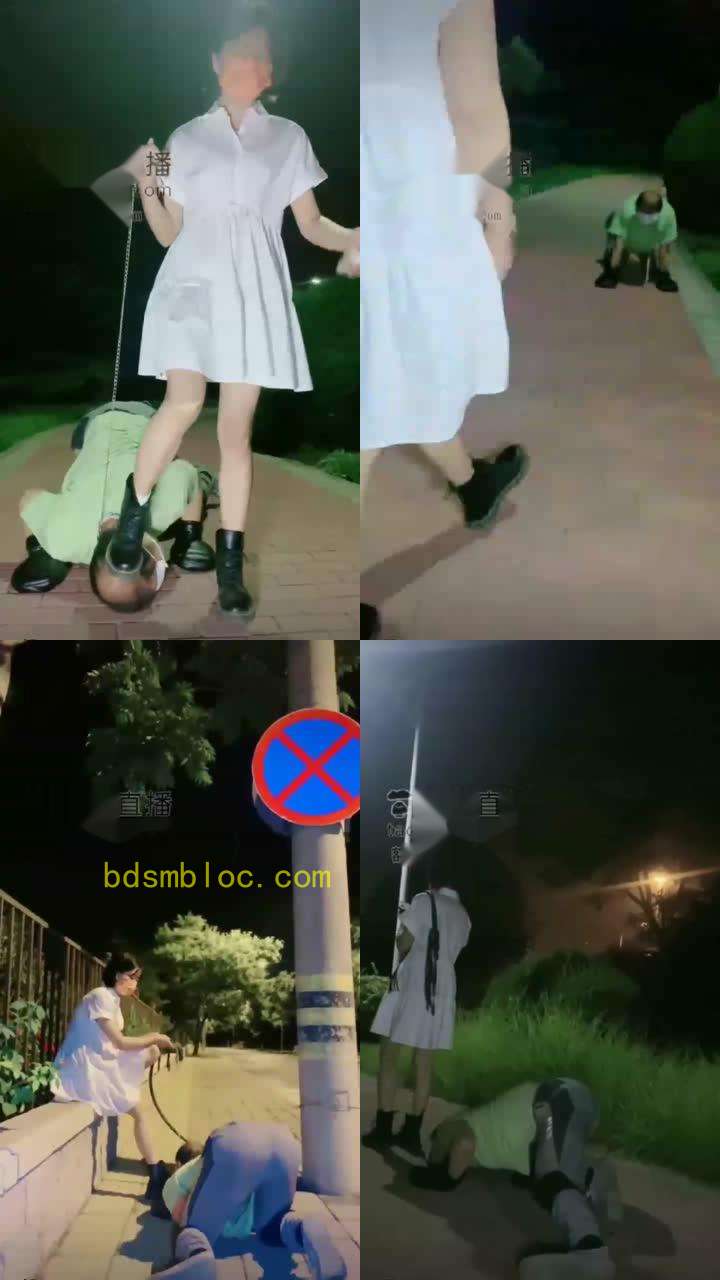 【美离子】调教还是户外刺激，深夜夜路遛狗