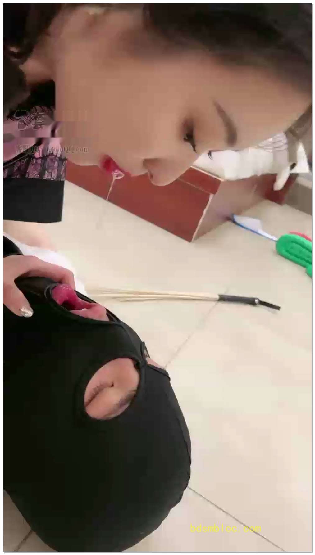 【鑫儿教头】小动物不听话多半是欠揍了