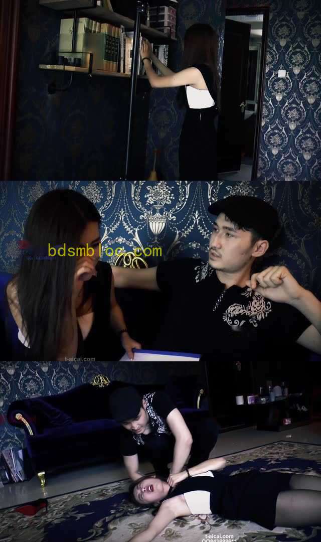 【冰时代】剧情 窃取机密的女秘书