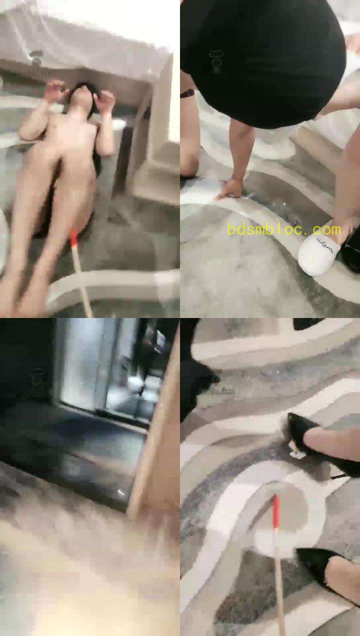 【s姑姑】双主调教，遛狗，踩踏