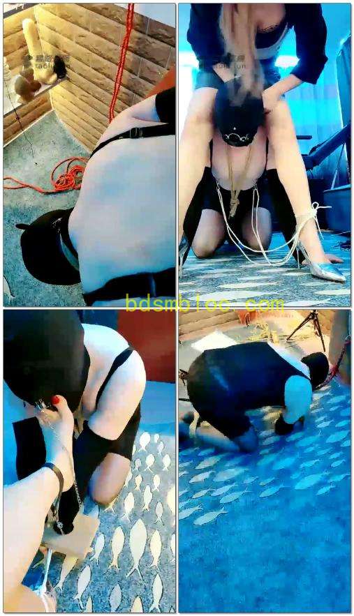 【天香百合】折磨控制，乳夹鼻环绳子控制，生不如死