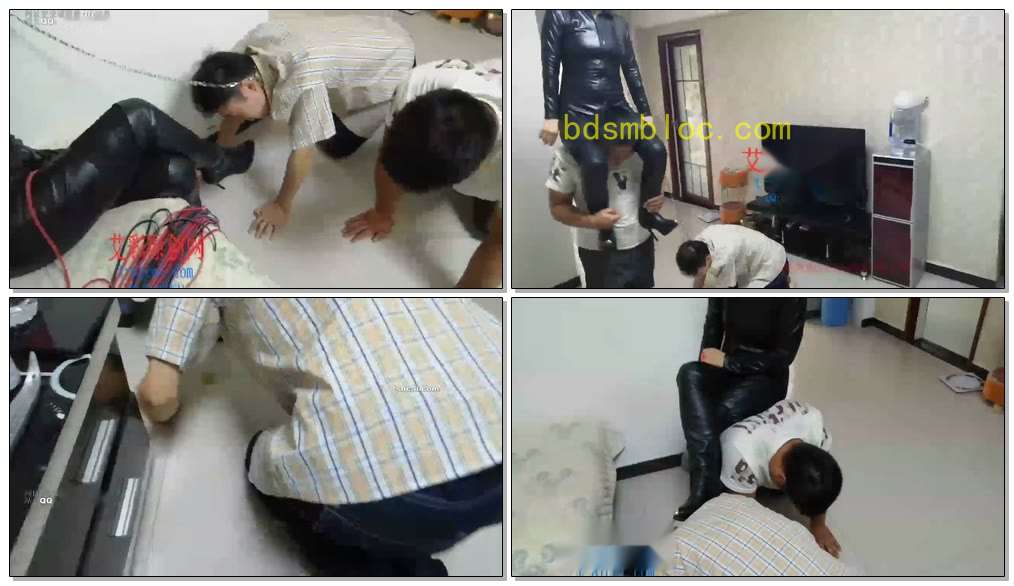 【傲视之巅·欣】骑马和遛狗的故事