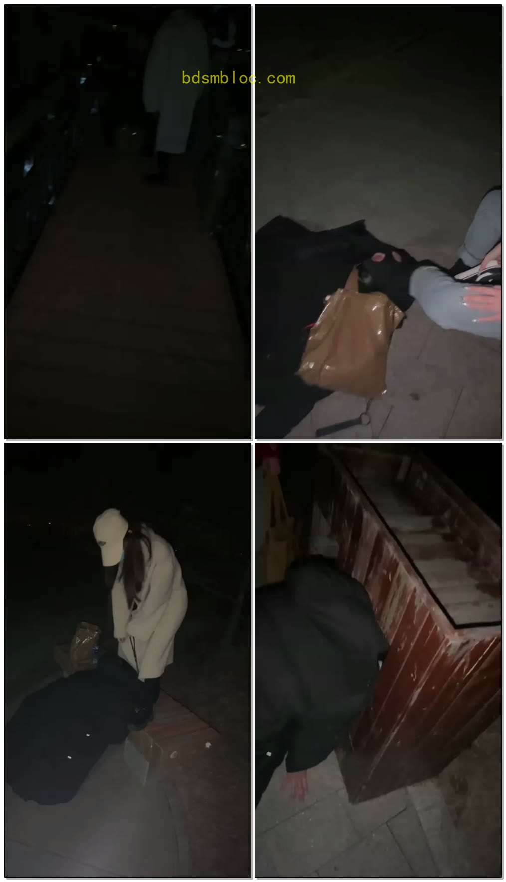 【樱木花椒】和诗诗深夜户外公园溜溜家犬