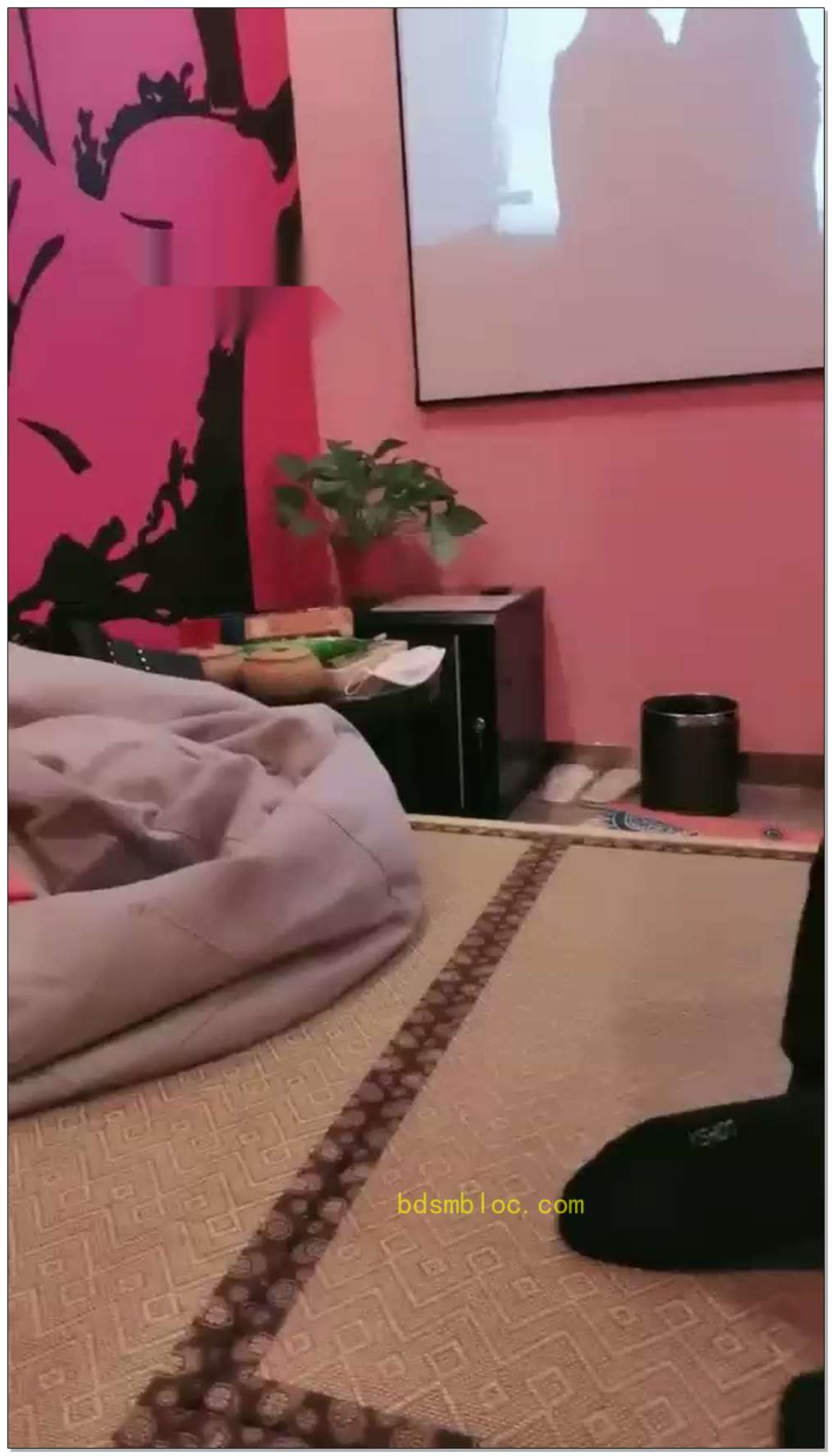 【Alice女王】素人第一次踩踏专场