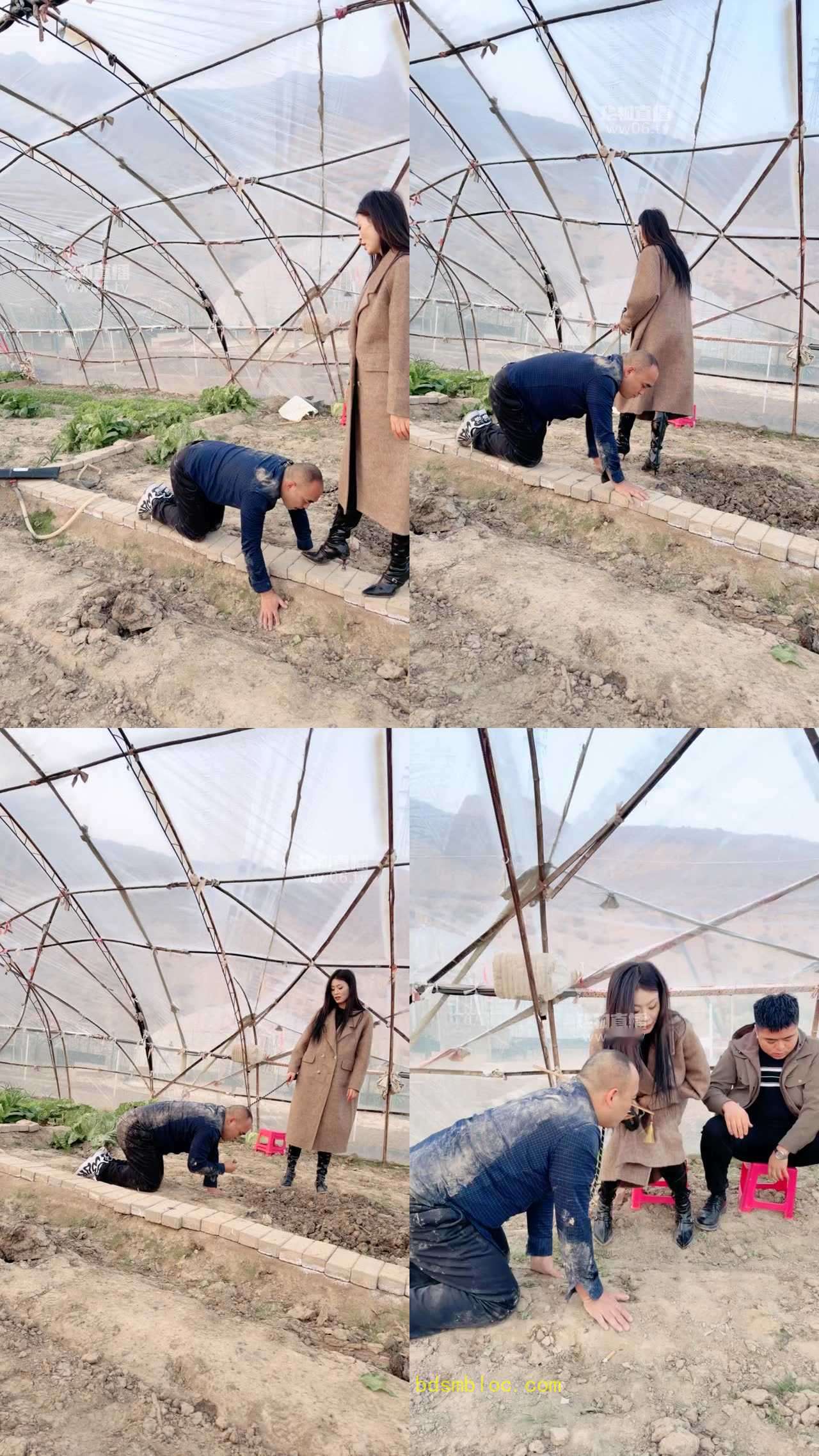 【可可夫妻s】偷菜贼被抓情侣主在温室双