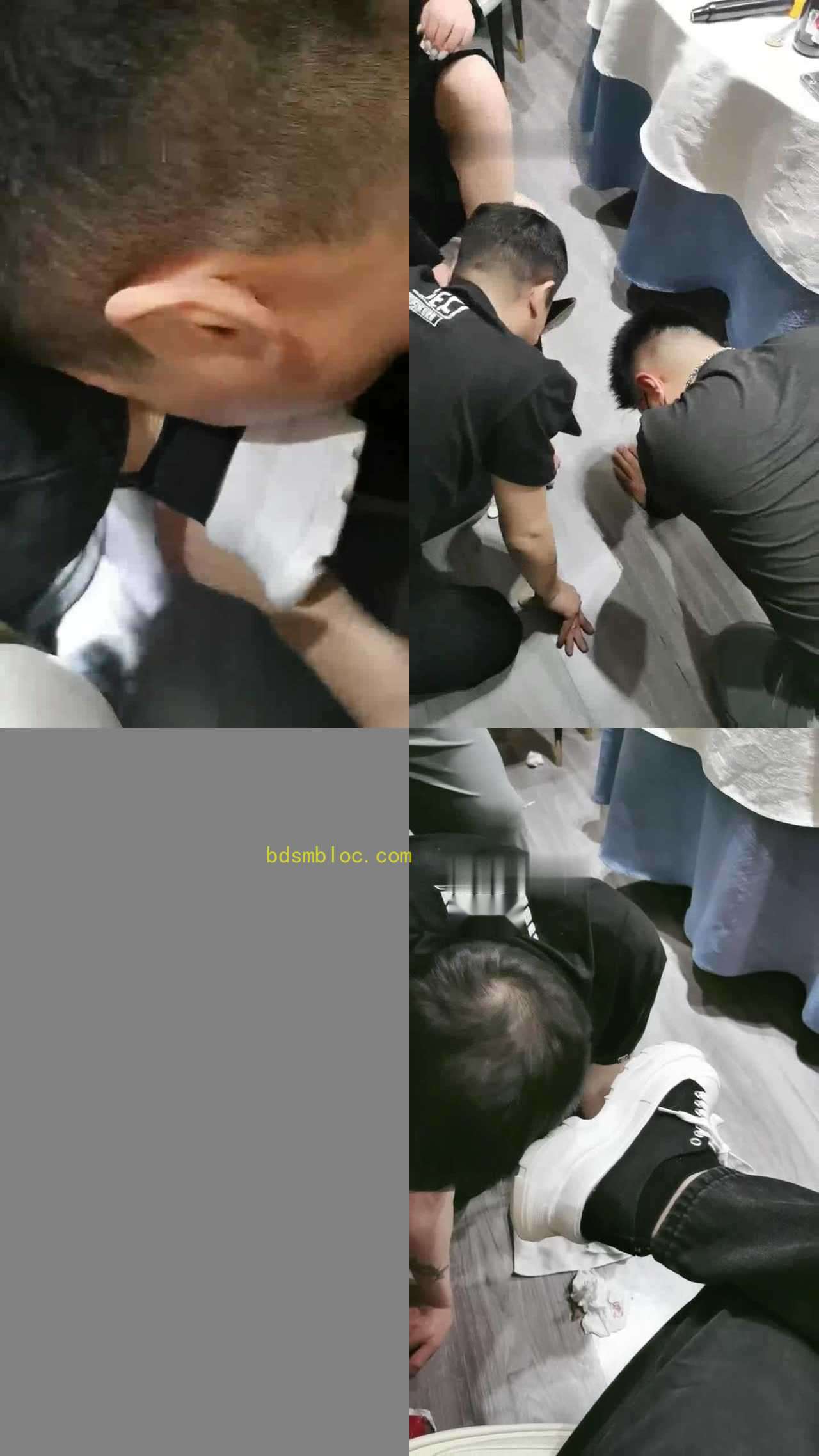 【维依】餐厅聚会双狗伺候【双视角版】