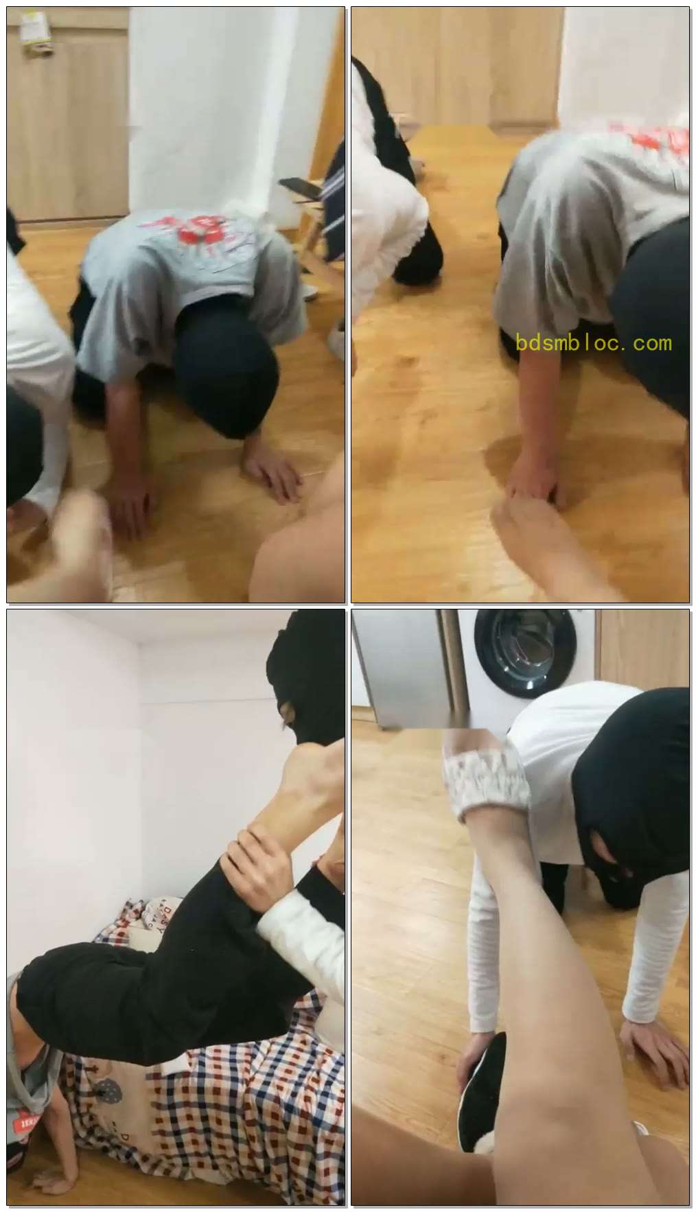 【关关S】三姐妹调教双狗