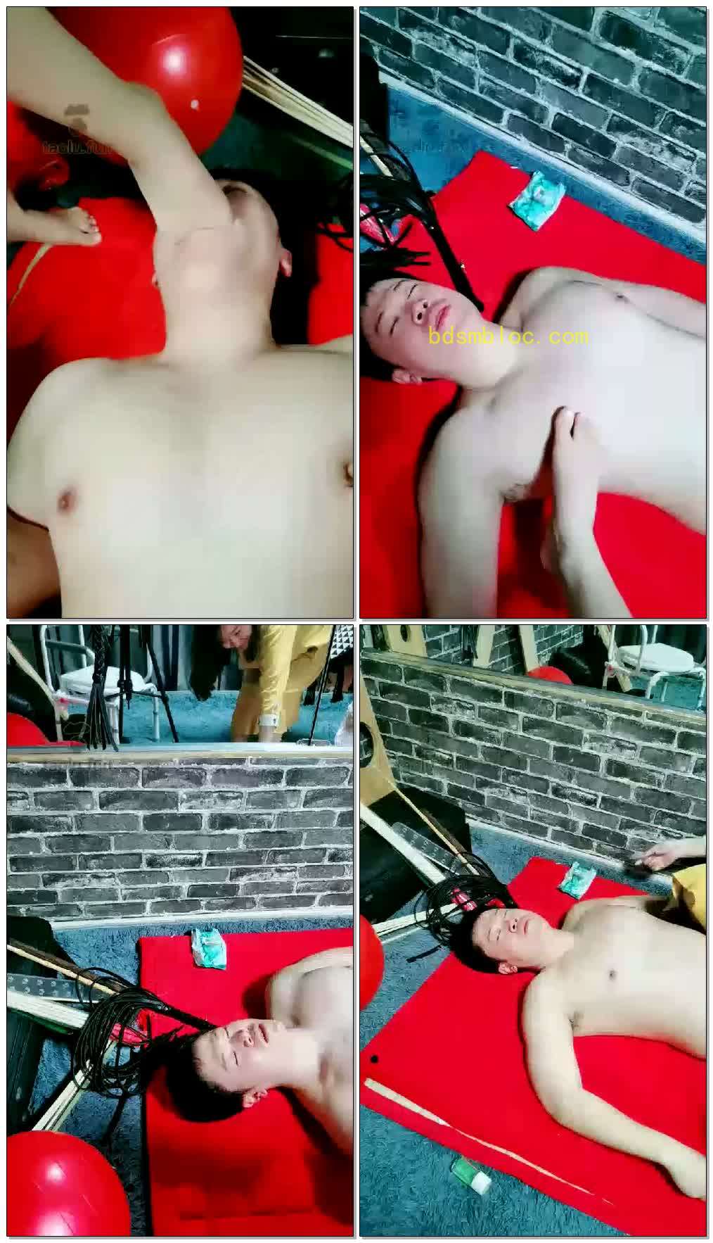 【猫咪殿下】玩一会！新人学释放
