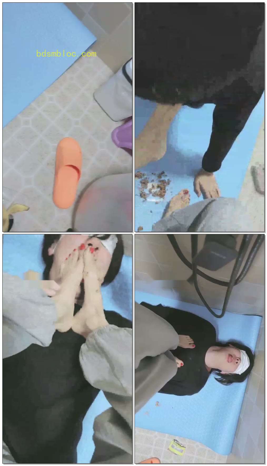 【染蝶大人】用脚喂狗狗吃水果