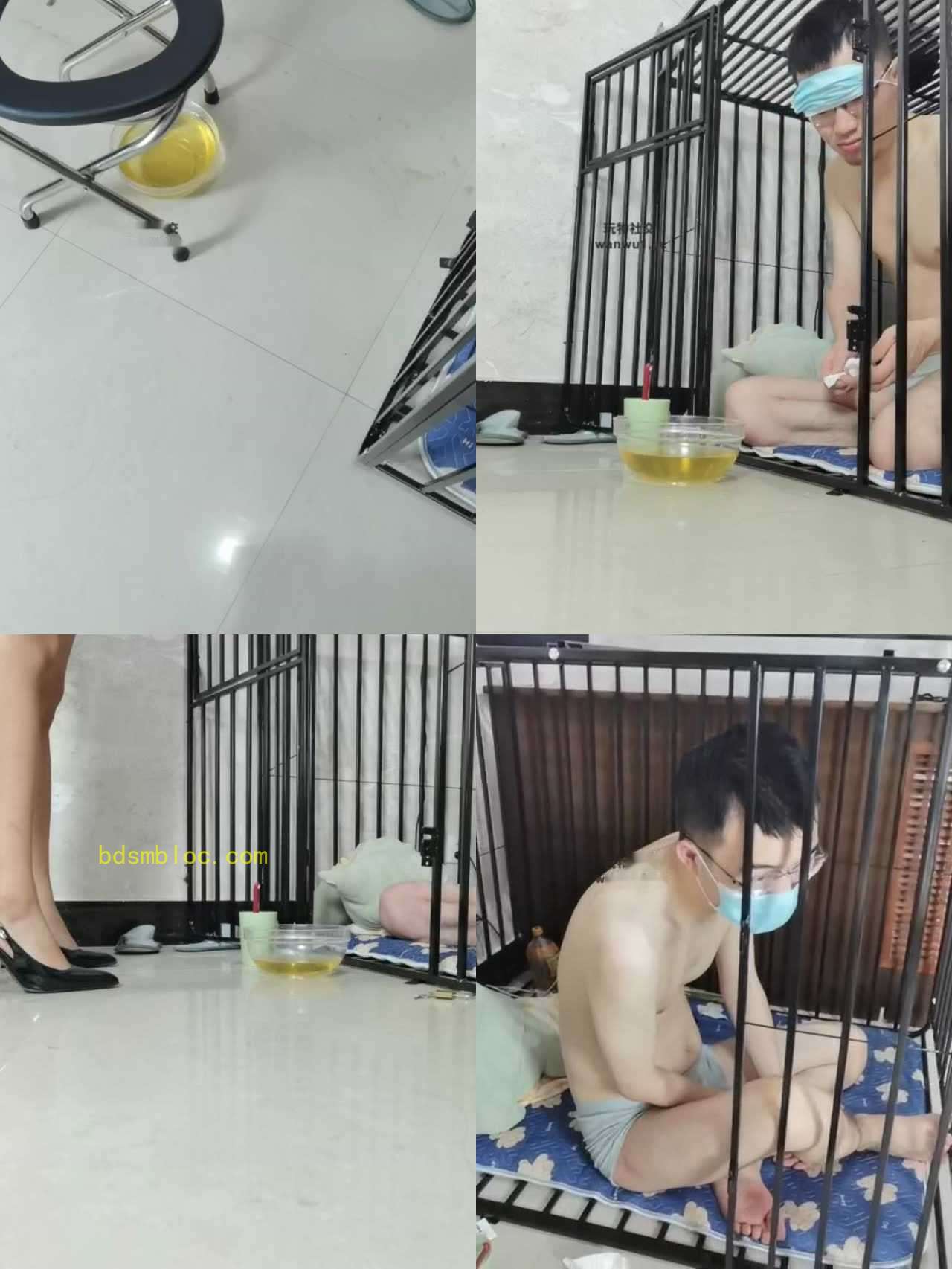 【桃桃樱】囚禁狗笼赏赐圣水
