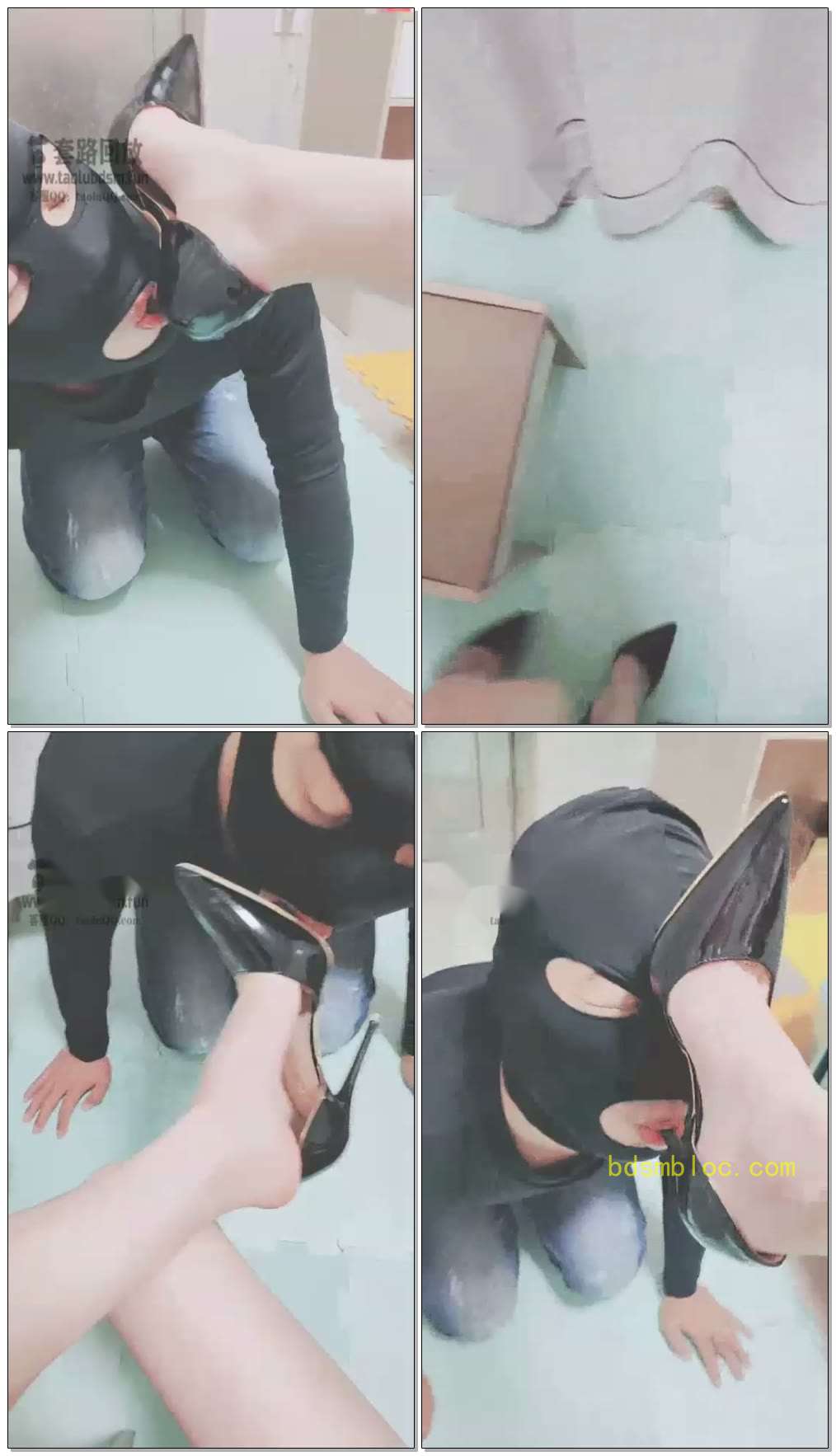 【灵竹】日常玩狗