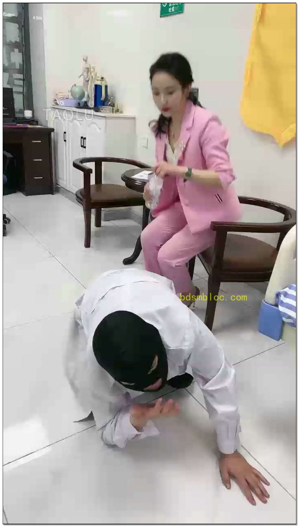 【鑫儿教头】剧情原来我的医生竟然是条狗
