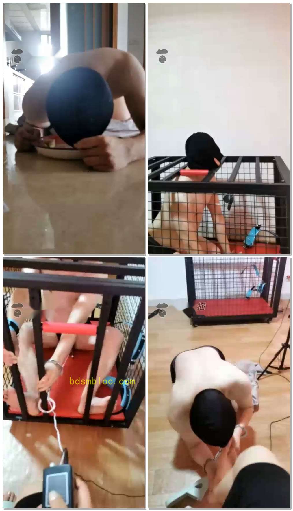 【s夏夏绳缚】大早上的就要喝圣水