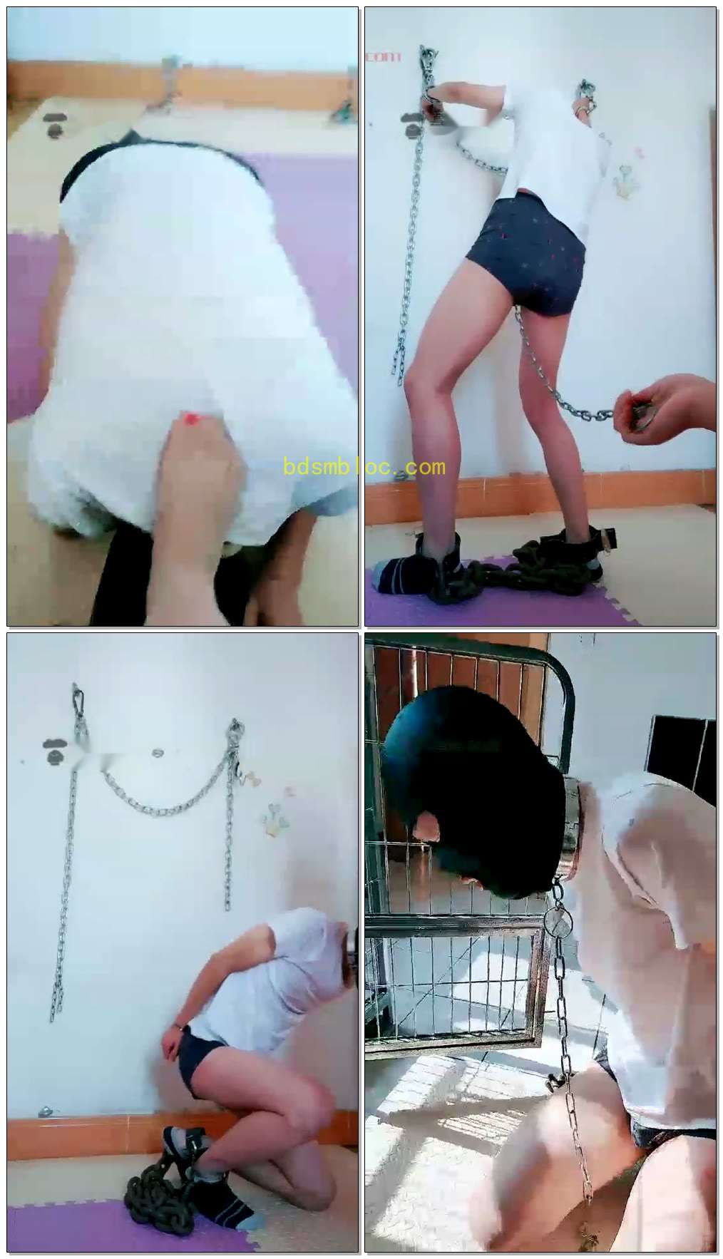 【月月S】这条贱狗被我打怕了