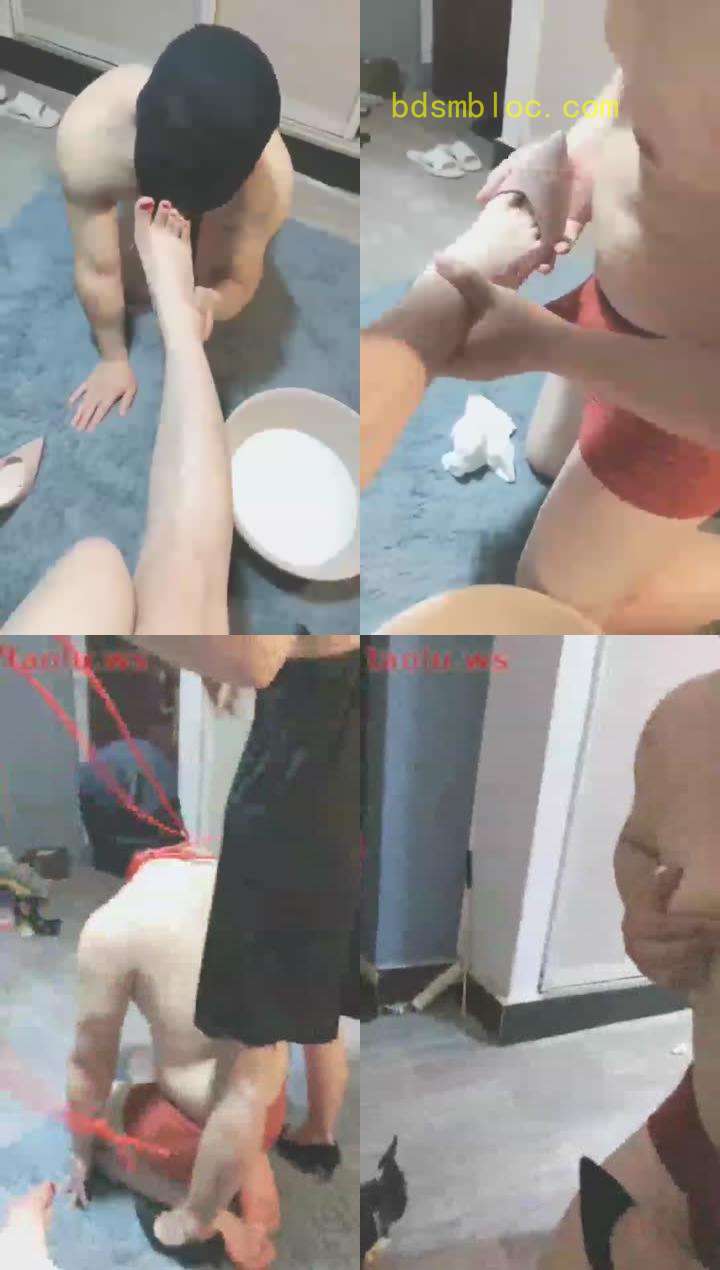 【贵阳双女王冷御s妖妖s】乖狗日常伺候