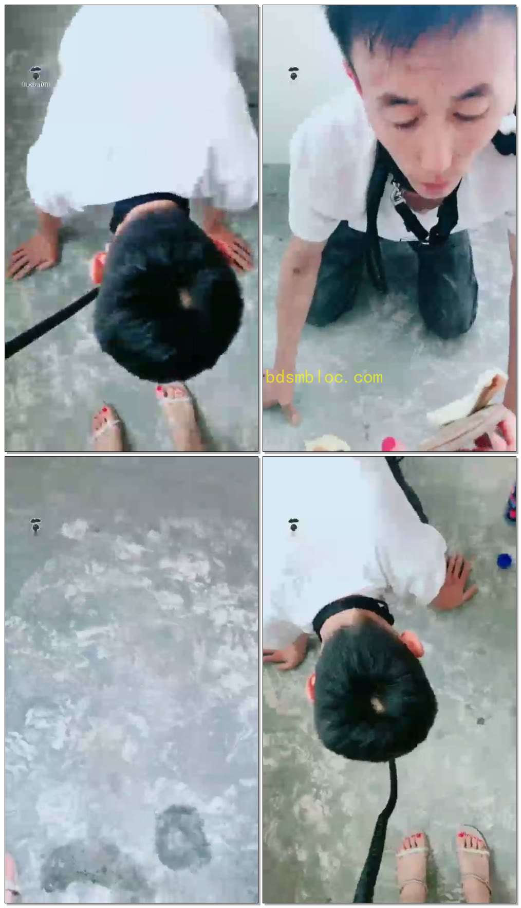 【聊城魅影S】楼道里玩无底线的狗，脏鞋底无限羞辱