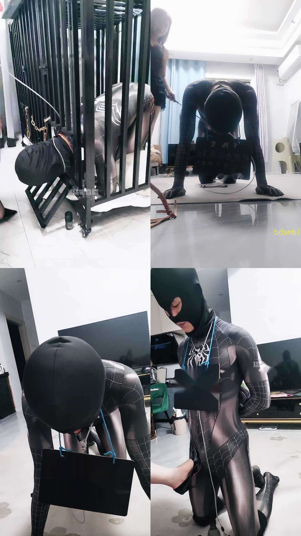【玫瑰S】猫咪的尾巴，玫瑰S，双主调教圈养tj傻逼狗