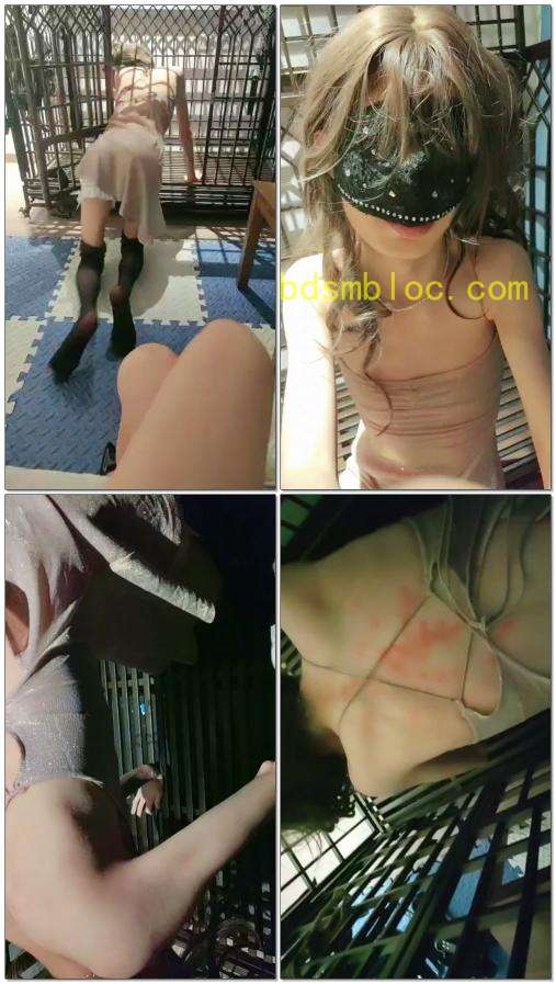 【喵酱紫S】美汪汪调教SP虐乳冰火游成