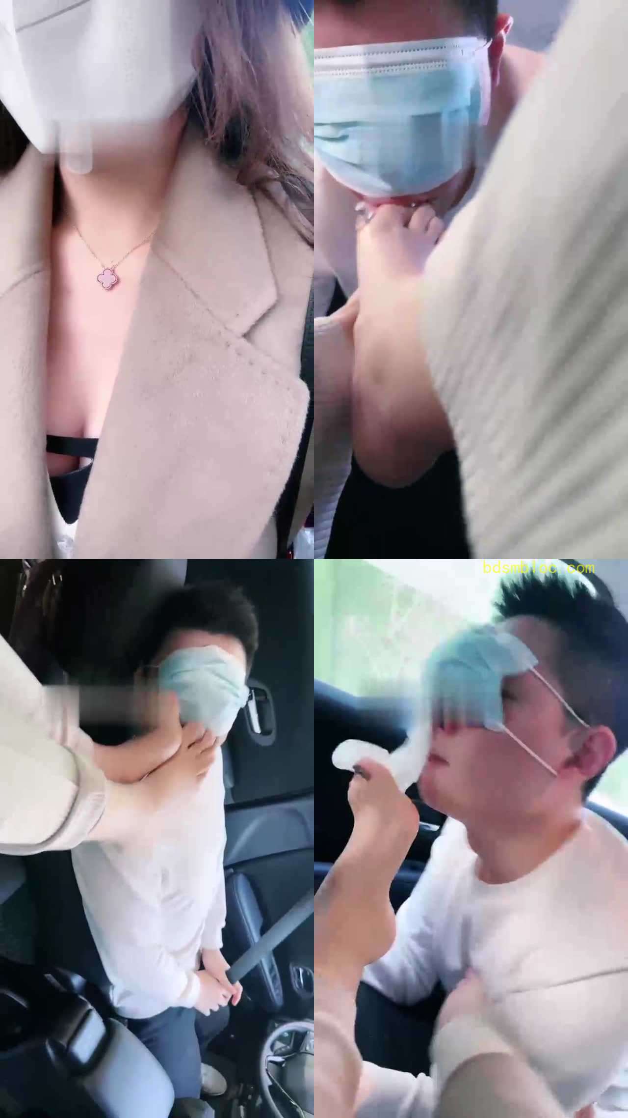 【禾末】车内诱导司机做狗