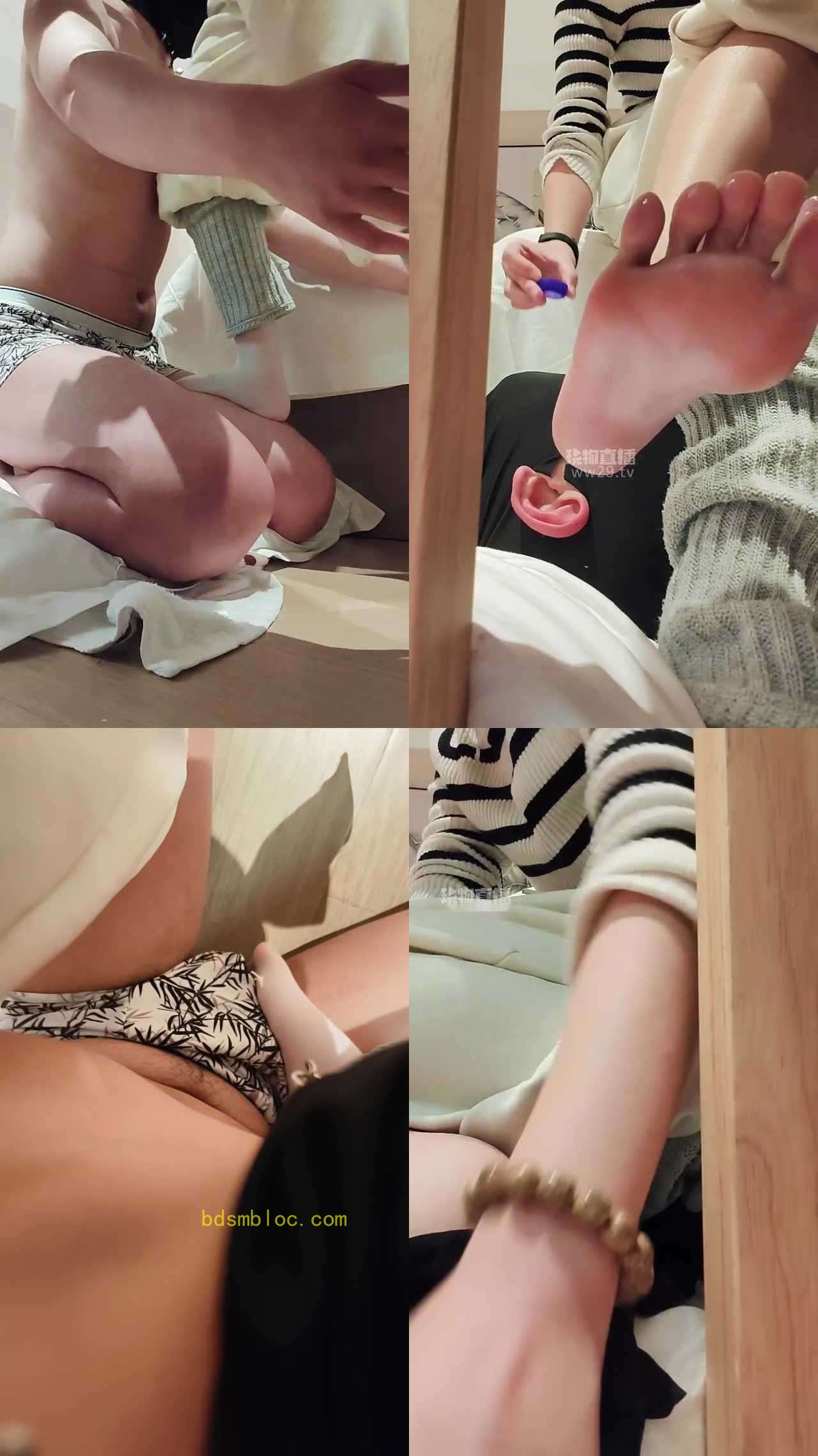 【蓝月大人】萌新玩萌新开始